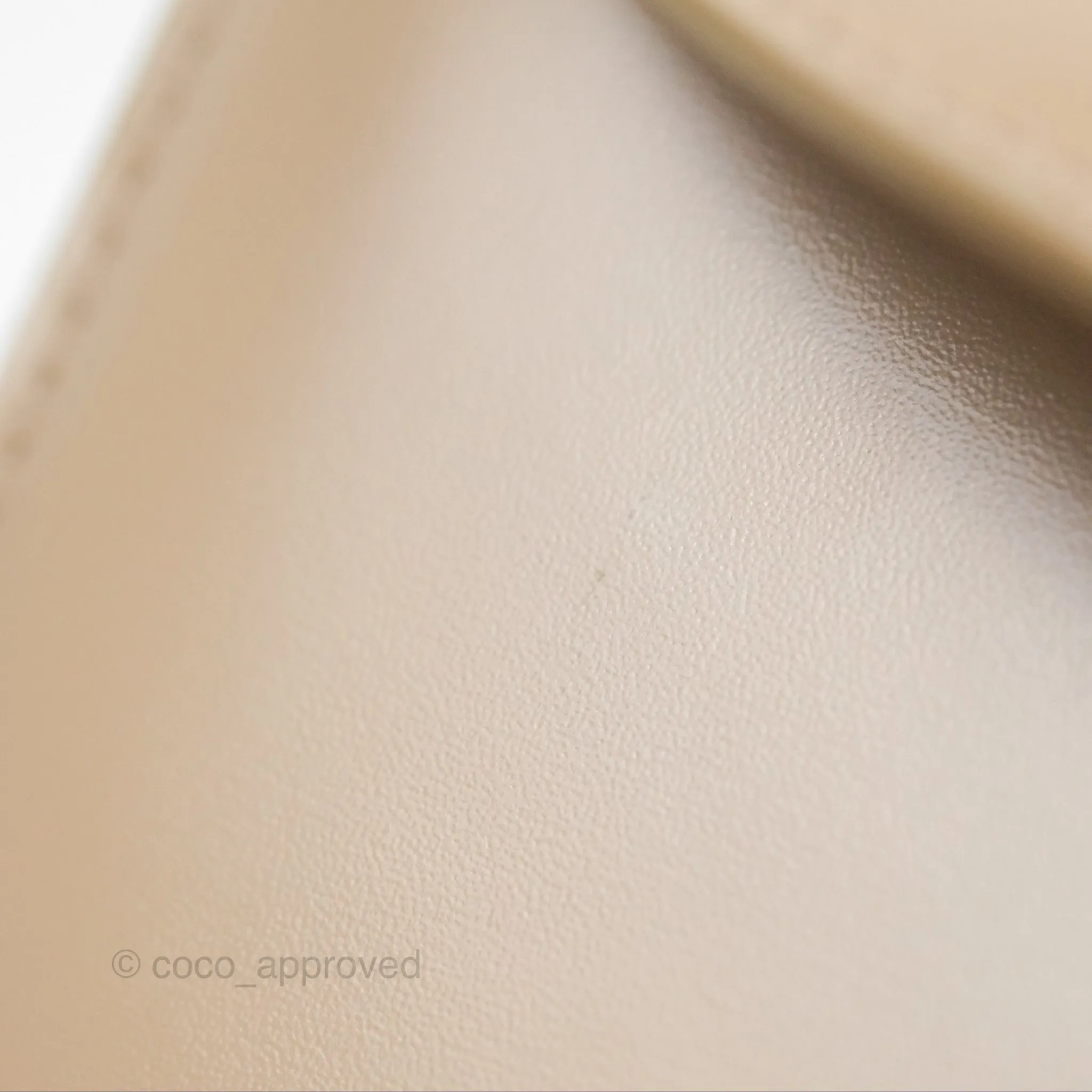 Celine Teen Besace Safari Shiny Calfskin