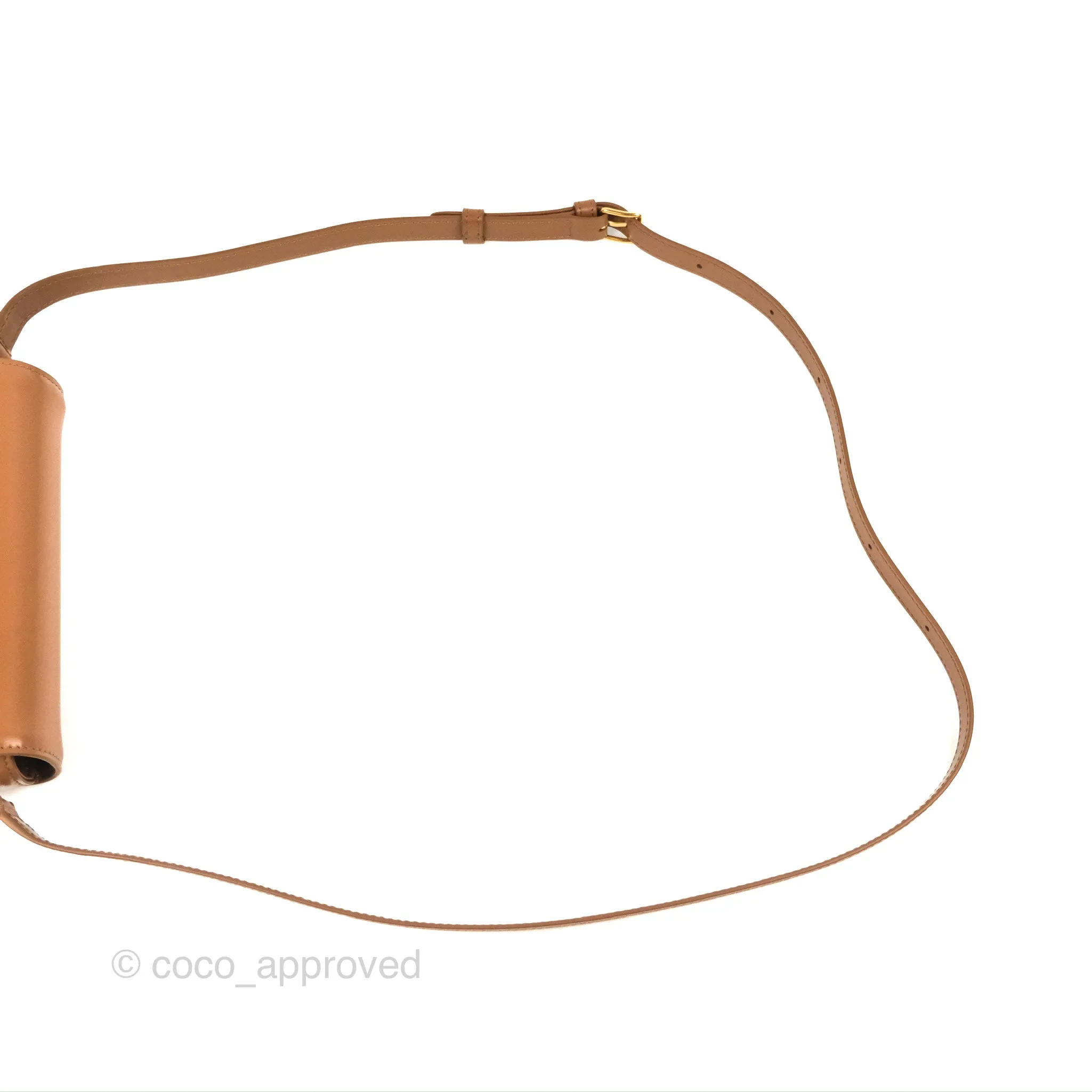 Celine Teen Triomphe Bag Shiny Calfskin Bronze