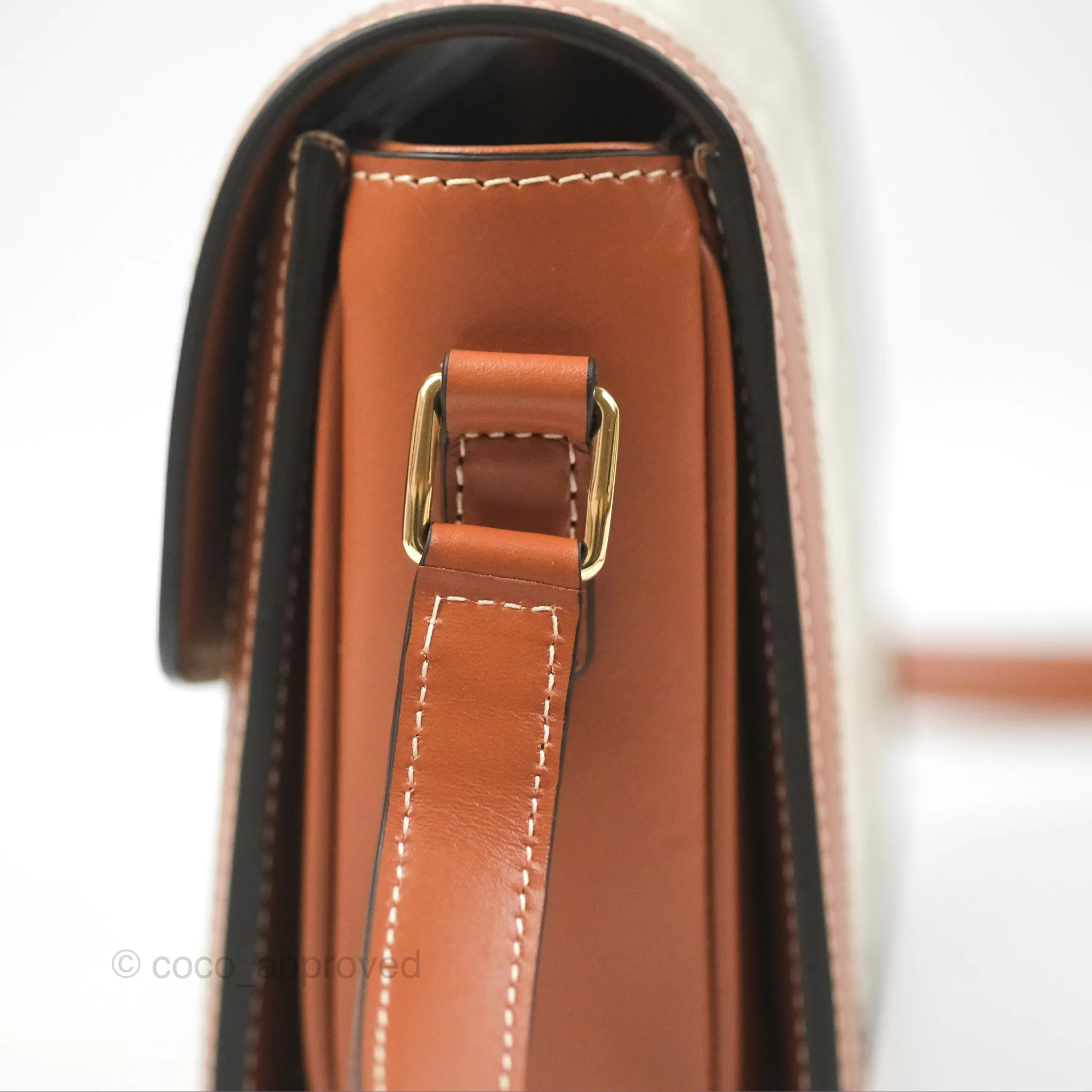 Celine Teen Triomphe Bag Triomphe Canvas Grege Calfskin