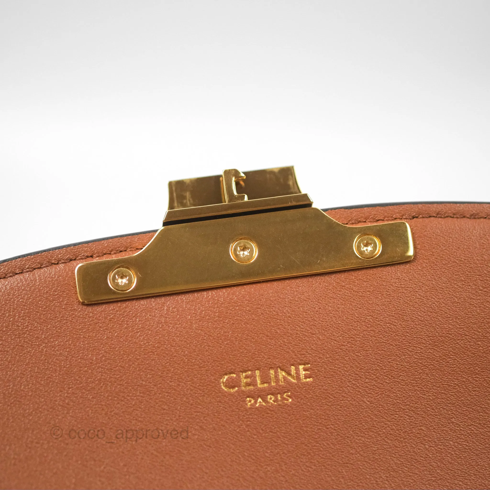 Celine Teen Triomphe Bag Triomphe Canvas Grege Calfskin