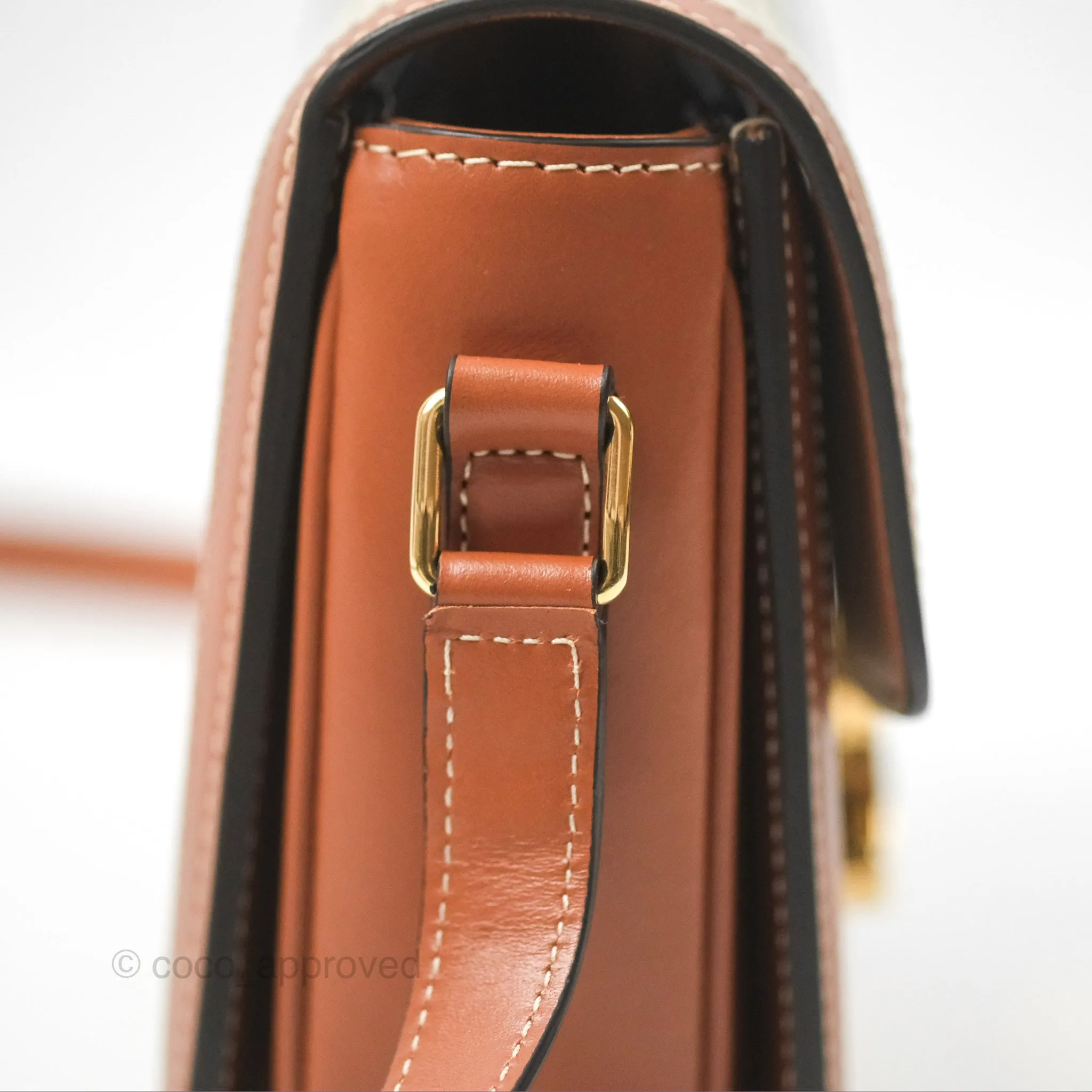 Celine Teen Triomphe Bag Triomphe Canvas Grege Calfskin