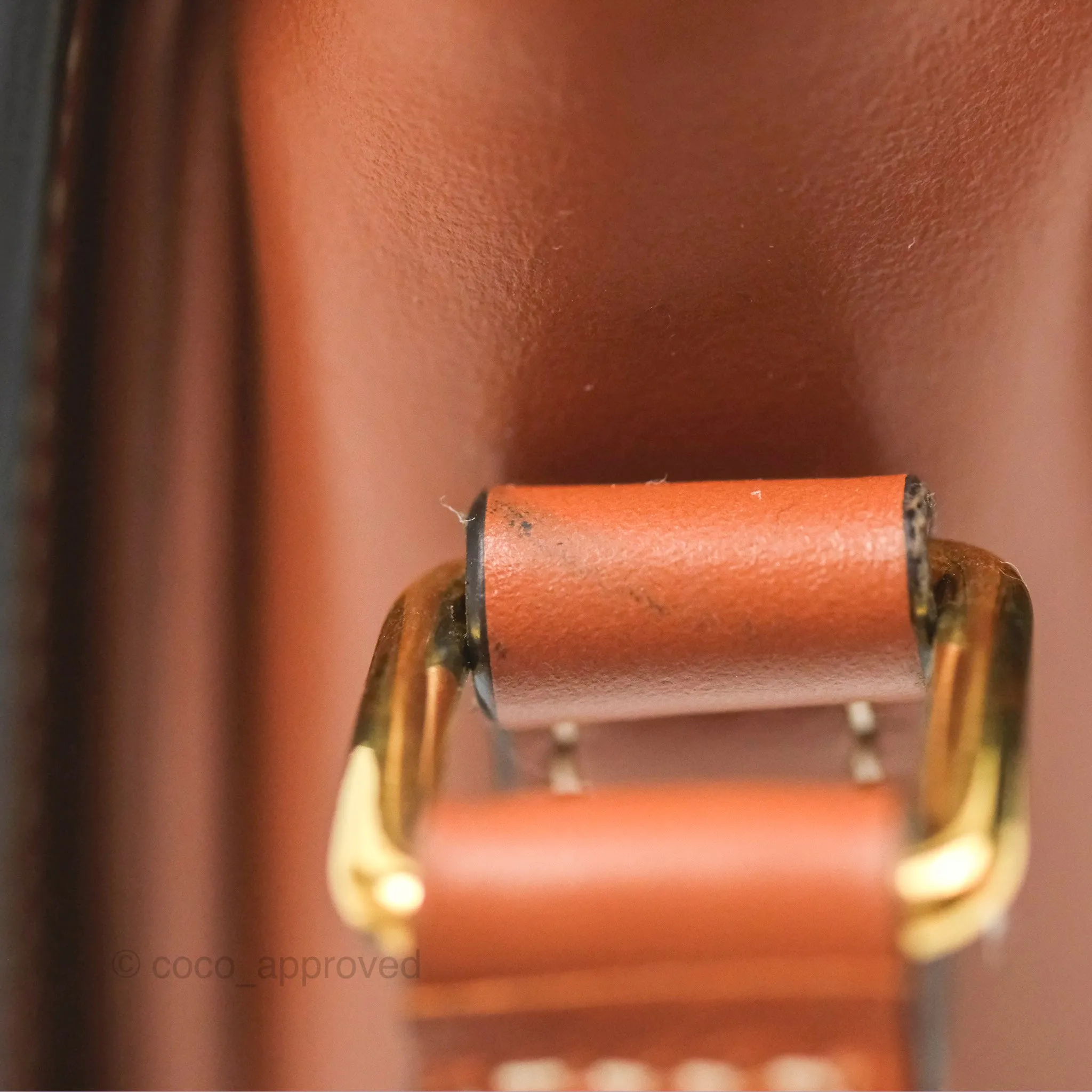 Celine Teen Triomphe Bag Triomphe Canvas Tan Calfskin