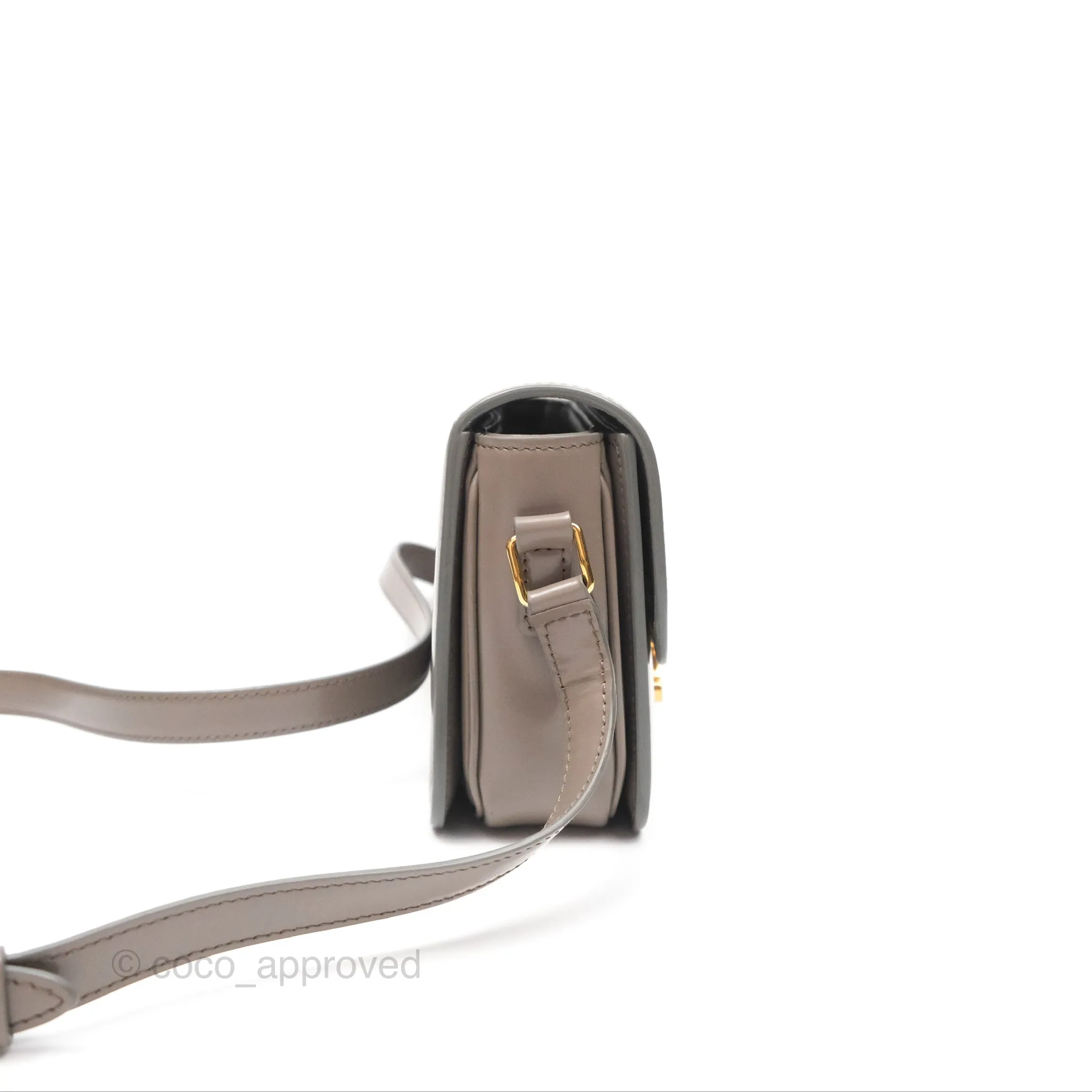 Celine Teen Triomphe Shiny Calfskin Pebble Gold Hardware