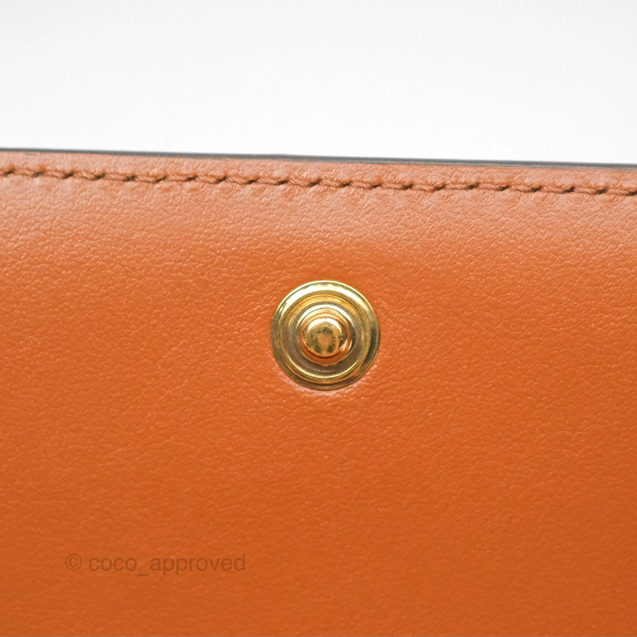 Celine Wallet On Strap Triomphe Canvas Tan Lambskin