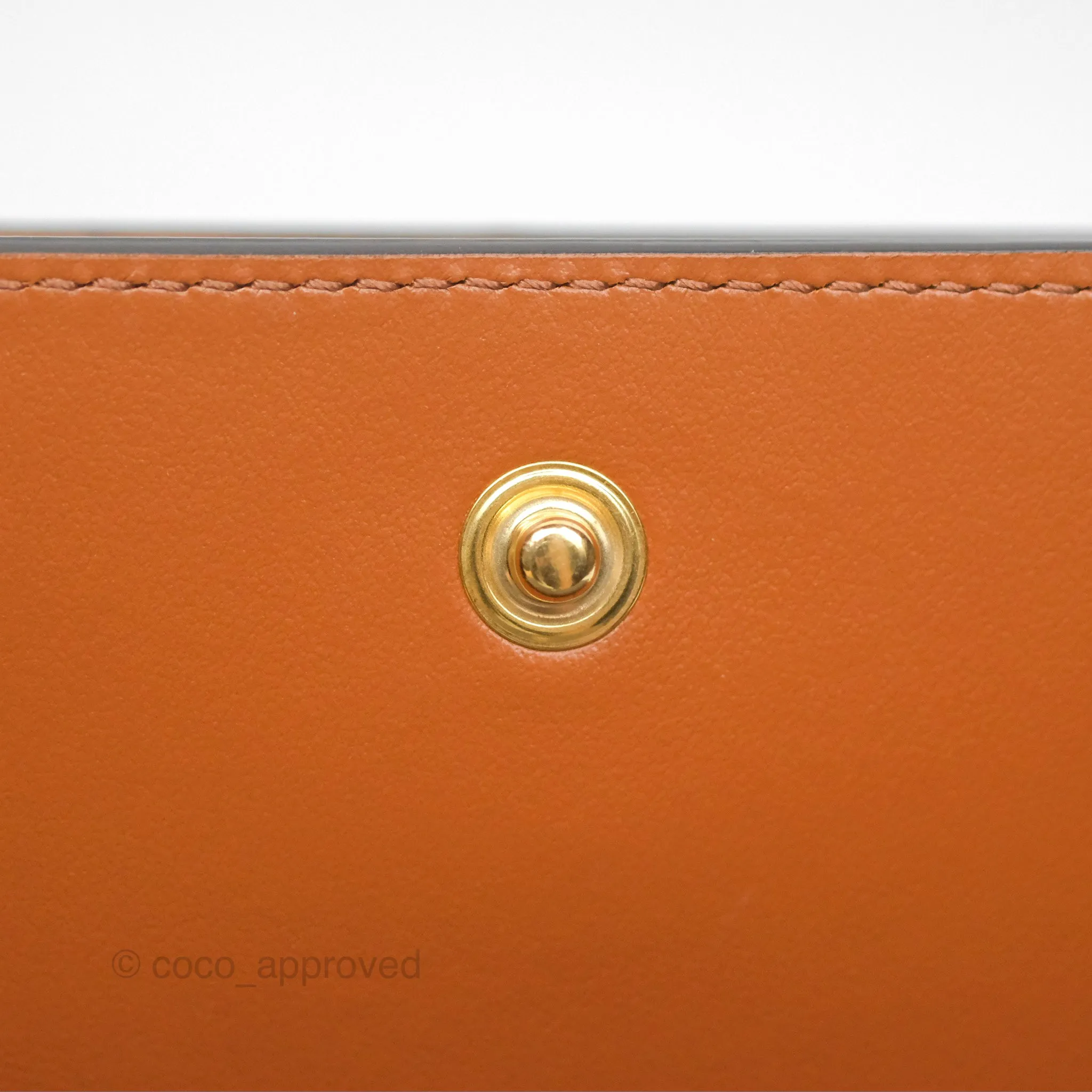 Celine Wallet On Strap Triomphe Canvas Tan Lambskin
