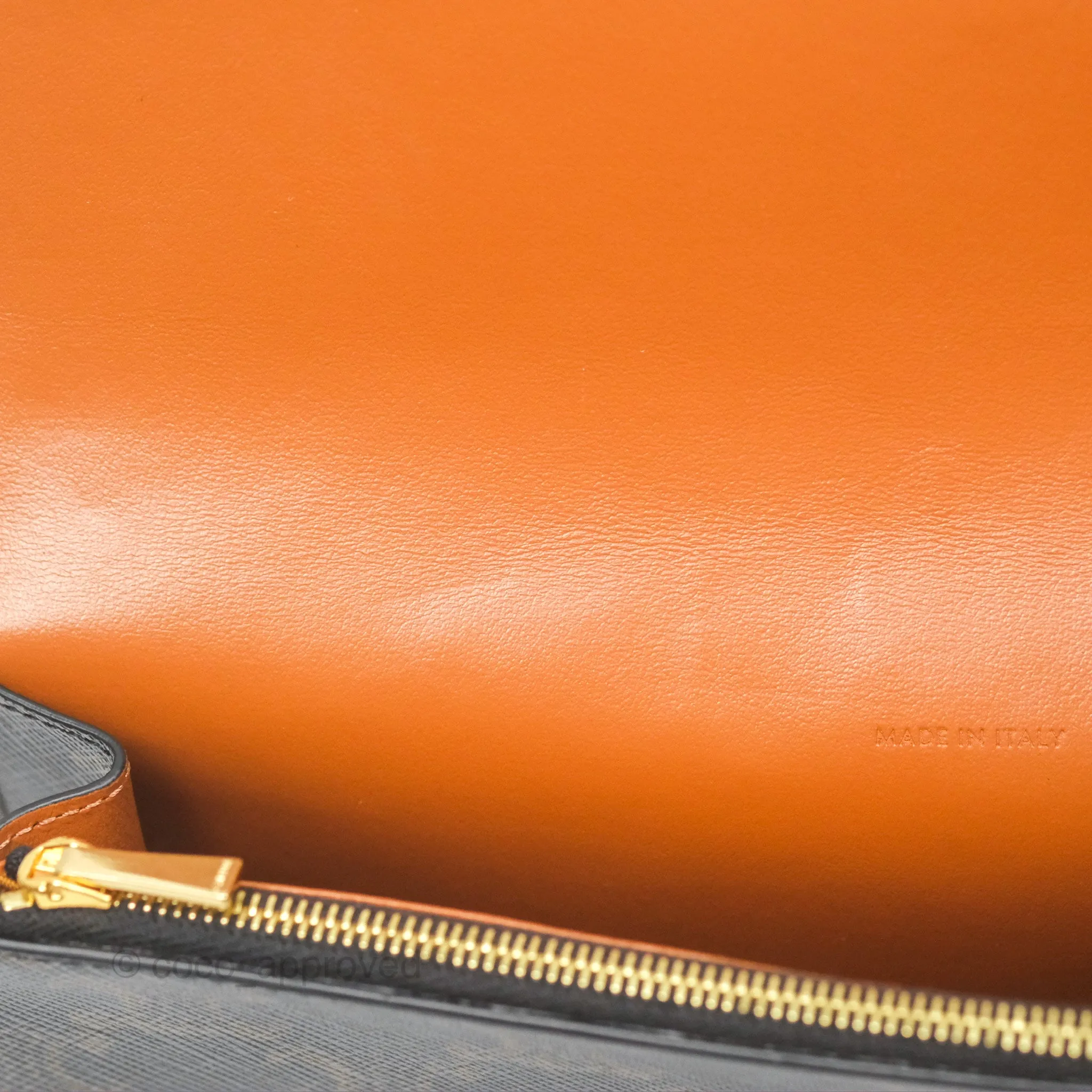 Celine Wallet On Strap Triomphe Canvas Tan Lambskin