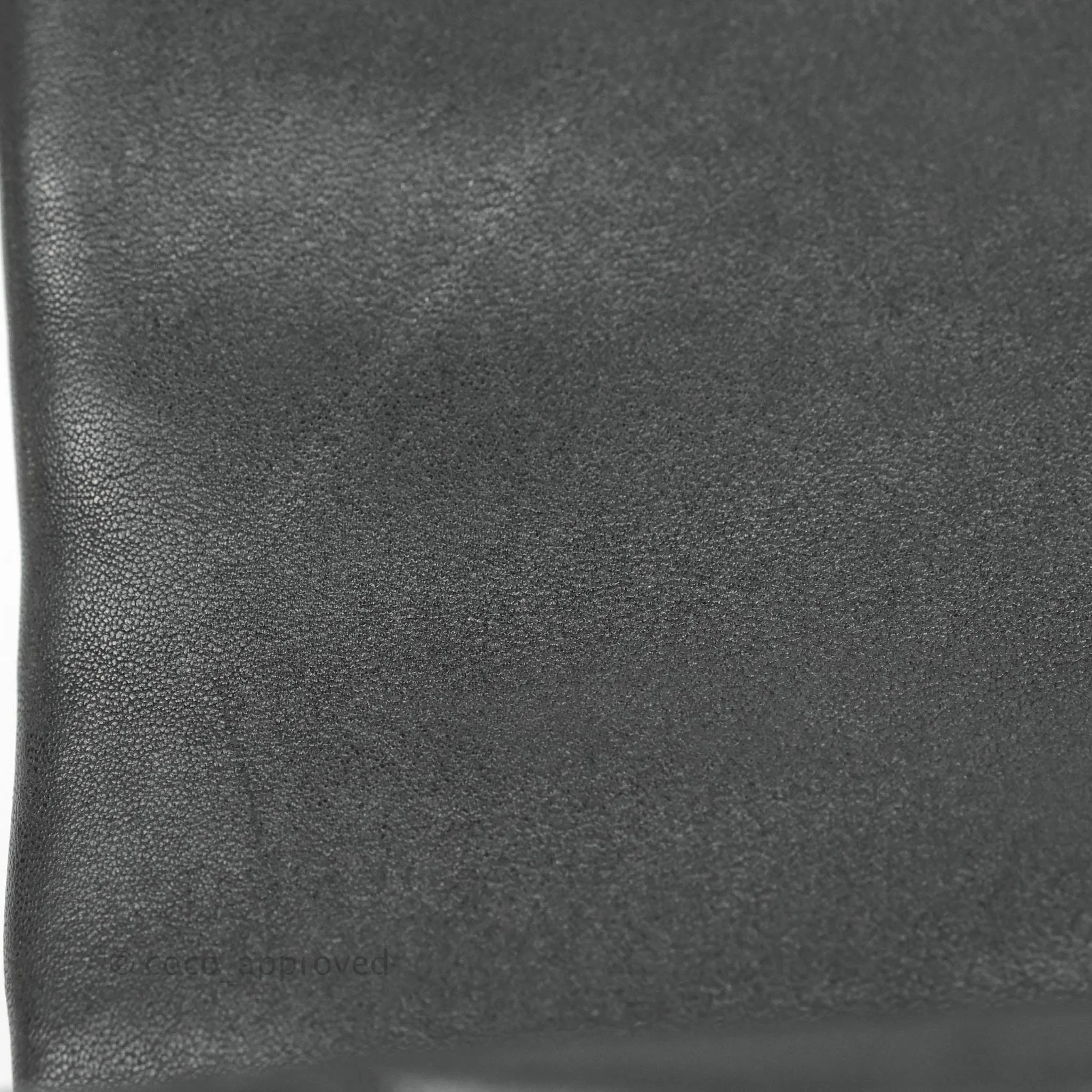 Chanel 19 Medium Black Goatskin Mixed Hardware