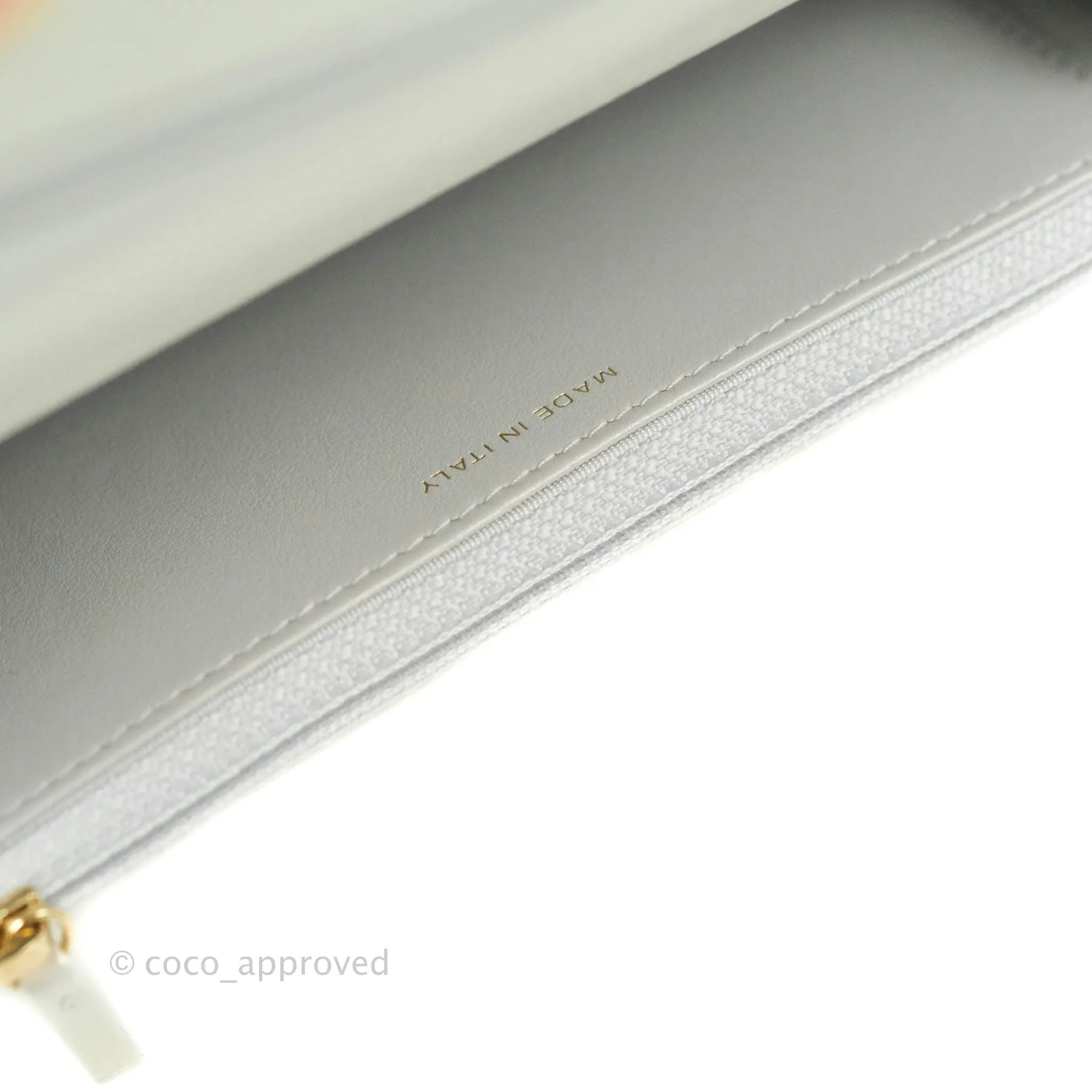 Chanel 19 Quilted Wallet on Chain WOC Iridescent White Mixed Hardware