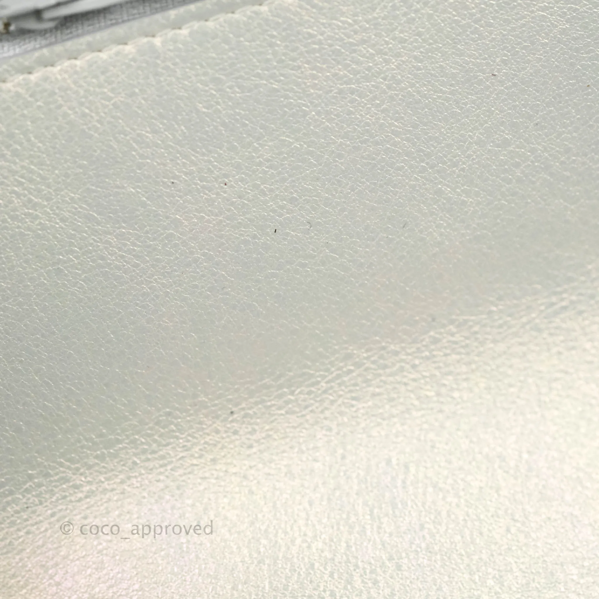 Chanel 19 Quilted Wallet on Chain WOC Iridescent White Mixed Hardware