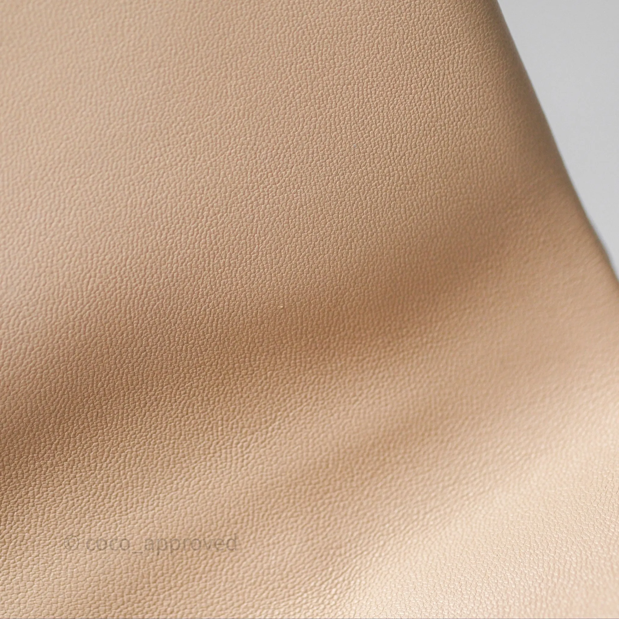 Chanel 19 Small Beige Mixed Hardware