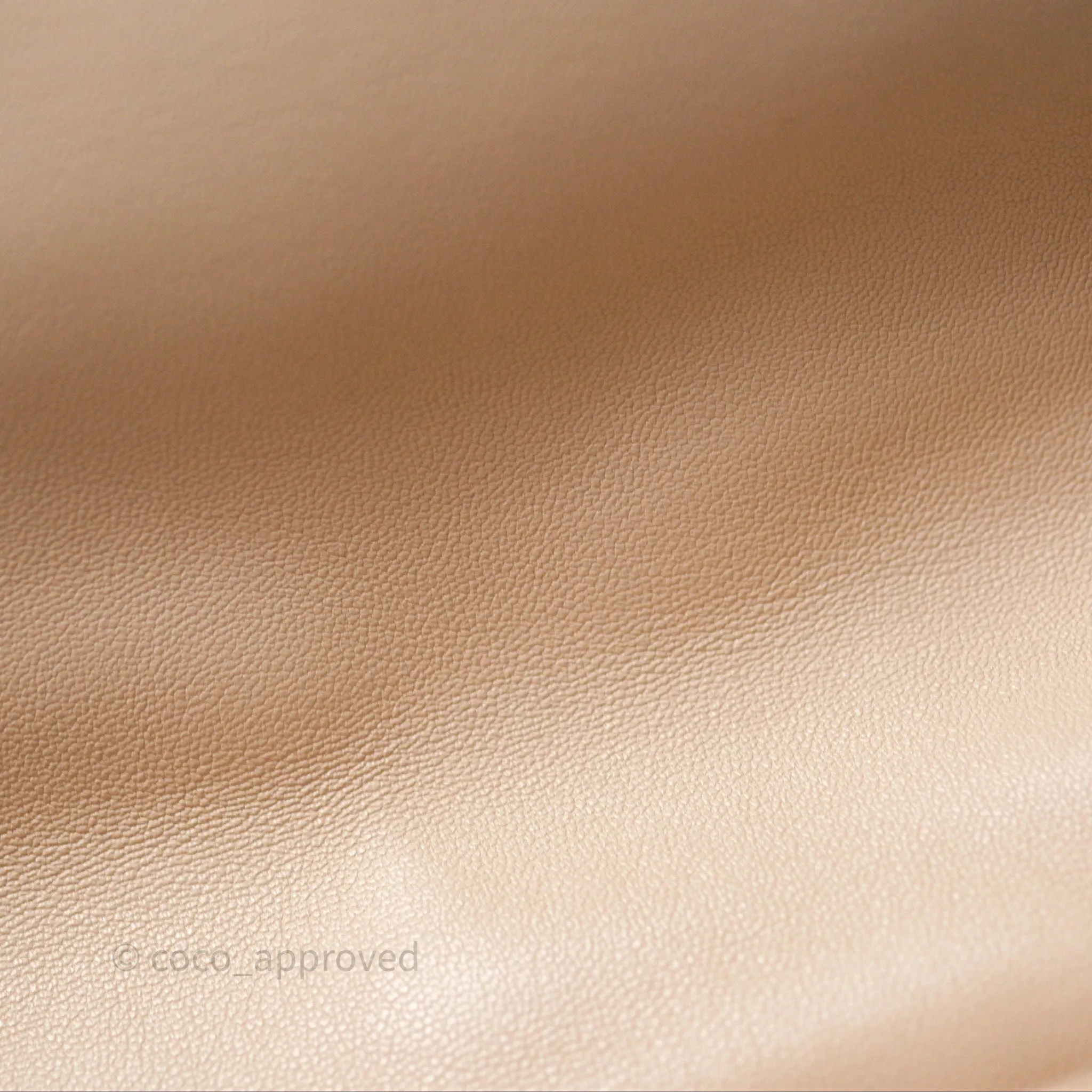 Chanel 19 Small Beige Mixed Hardware