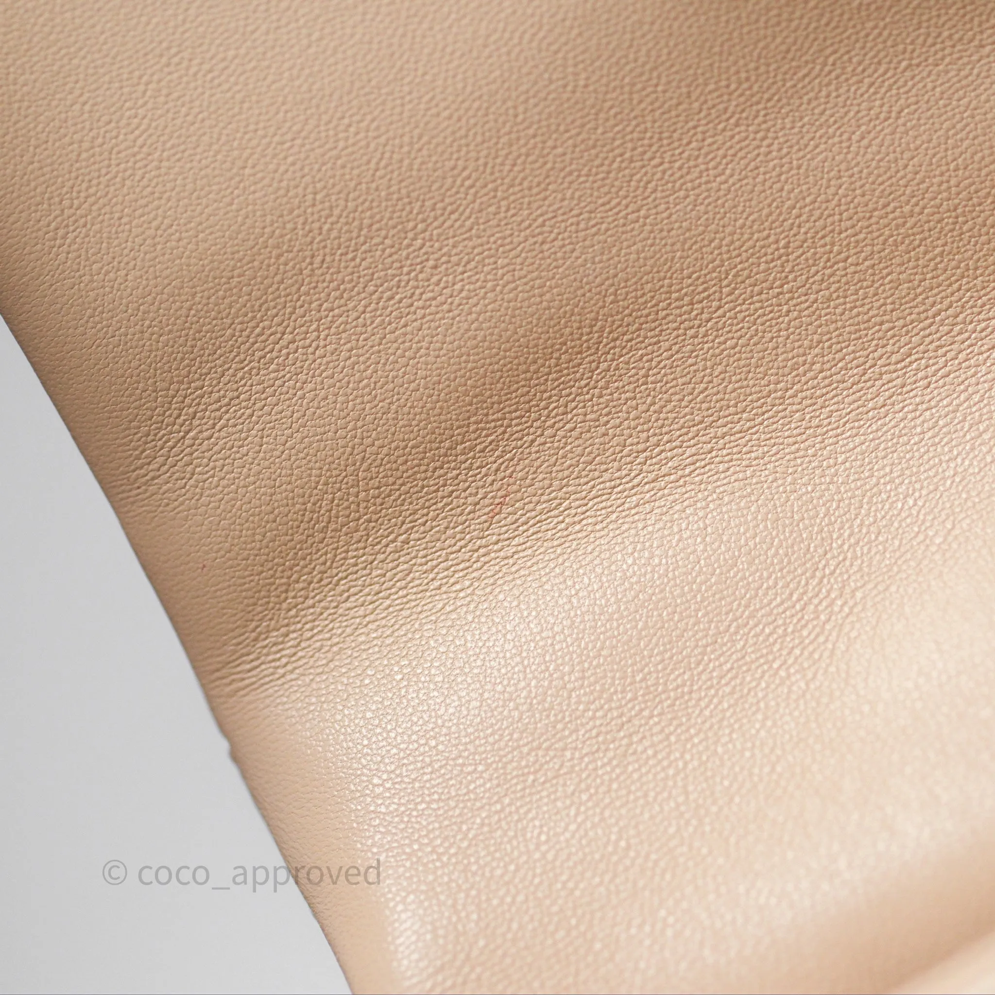 Chanel 19 Small Beige Mixed Hardware