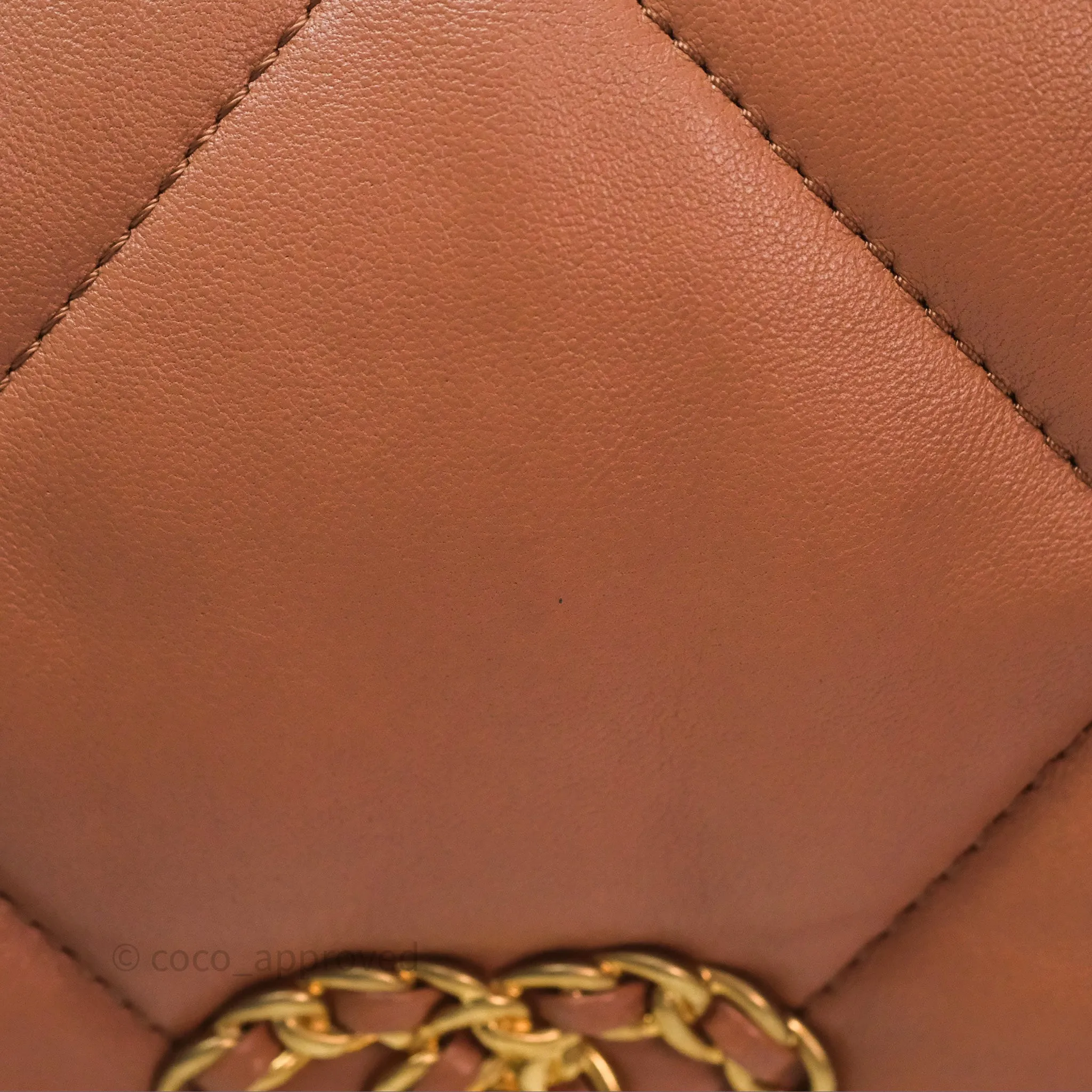 Chanel 19 Small Caramel Mixed Hardware