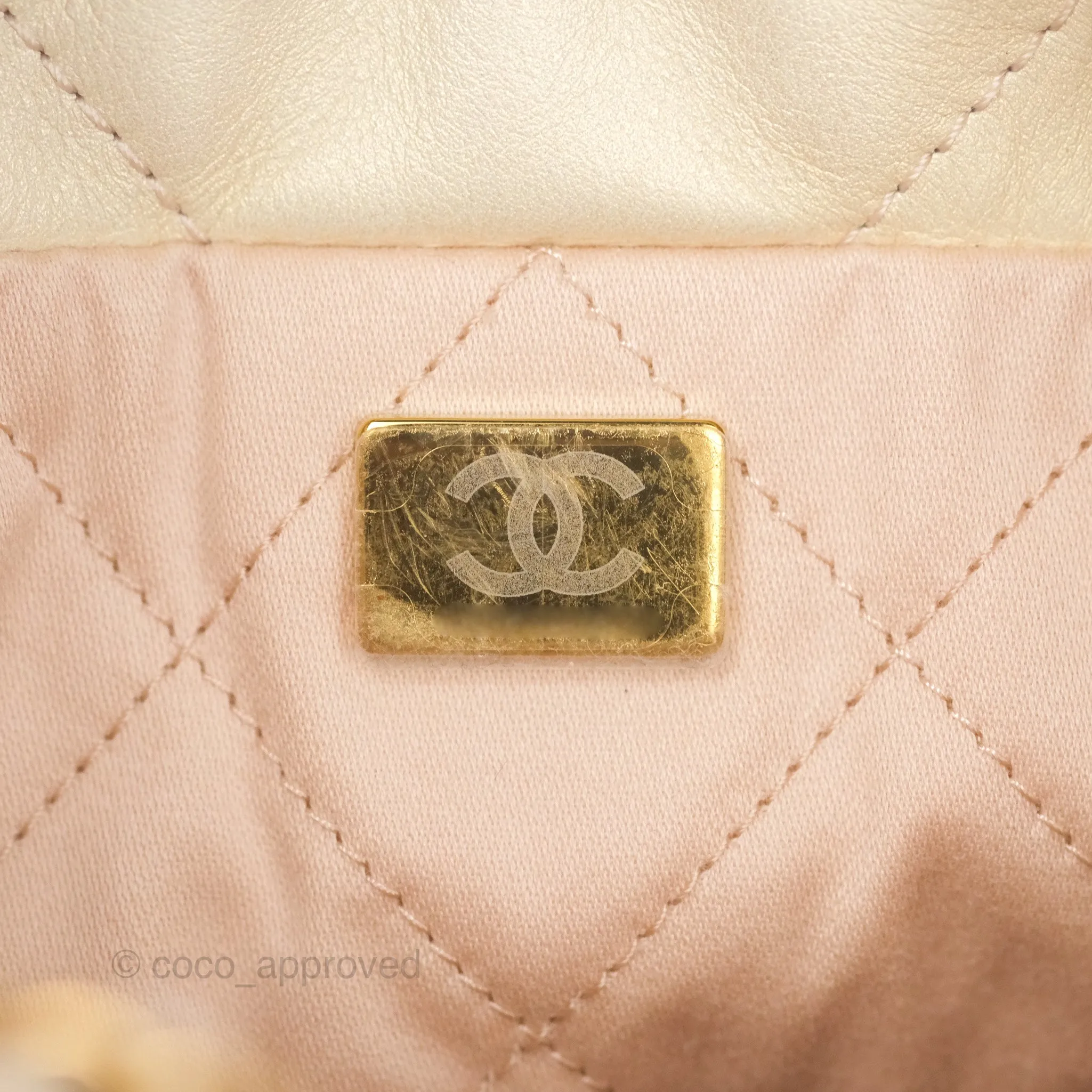 Chanel 22 Mini Bag Iridescent Light Pearly Calfskin Aged Gold Hardware