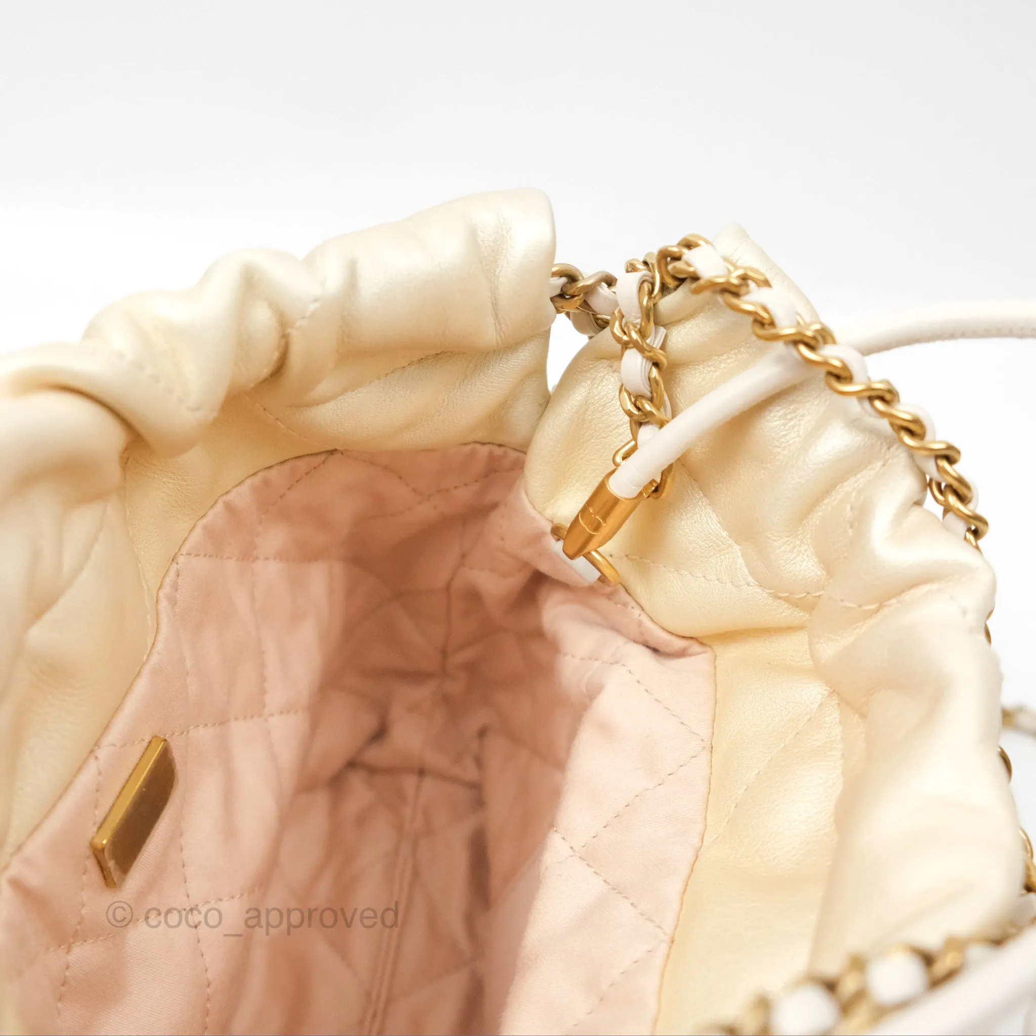 Chanel 22 Mini Bag Iridescent Light Pearly Calfskin Aged Gold Hardware