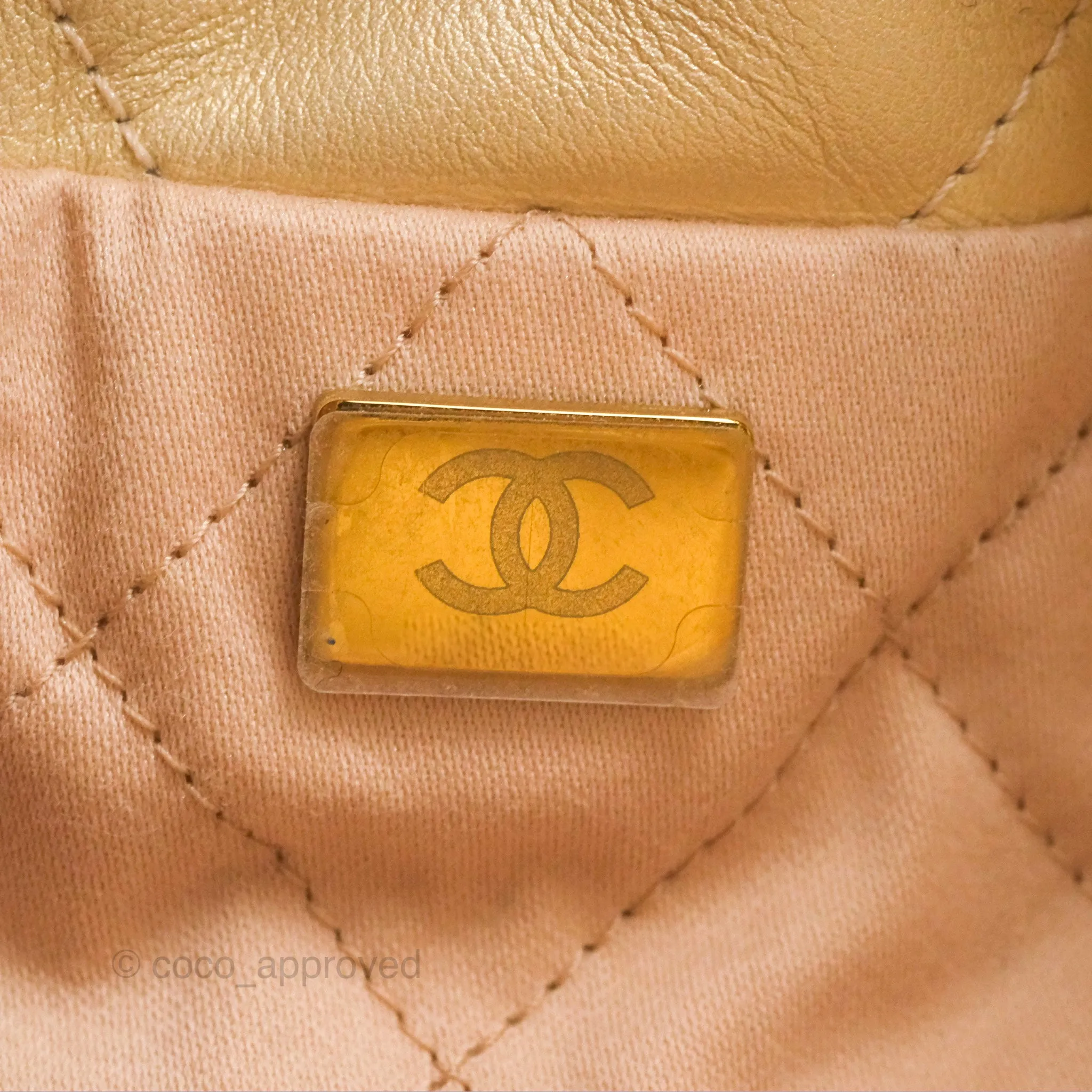 Chanel 22 Mini Bag Iridescent Light Pearly Calfskin Aged Gold Hardware