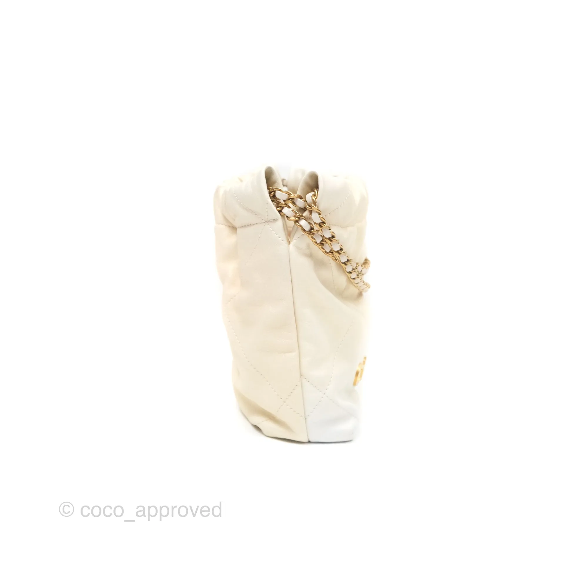 Chanel 22 Mini Bag Iridescent Light Pearly Calfskin Aged Gold Hardware