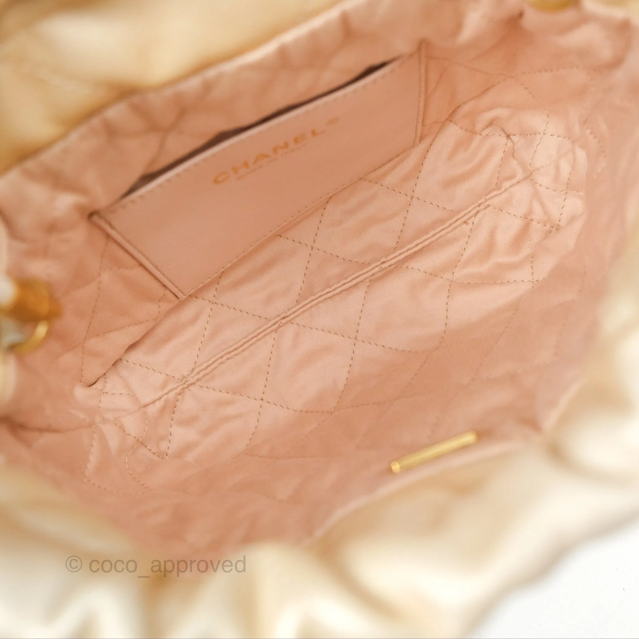 Chanel 22 Mini Bag Iridescent Light Pearly Calfskin Aged Gold Hardware