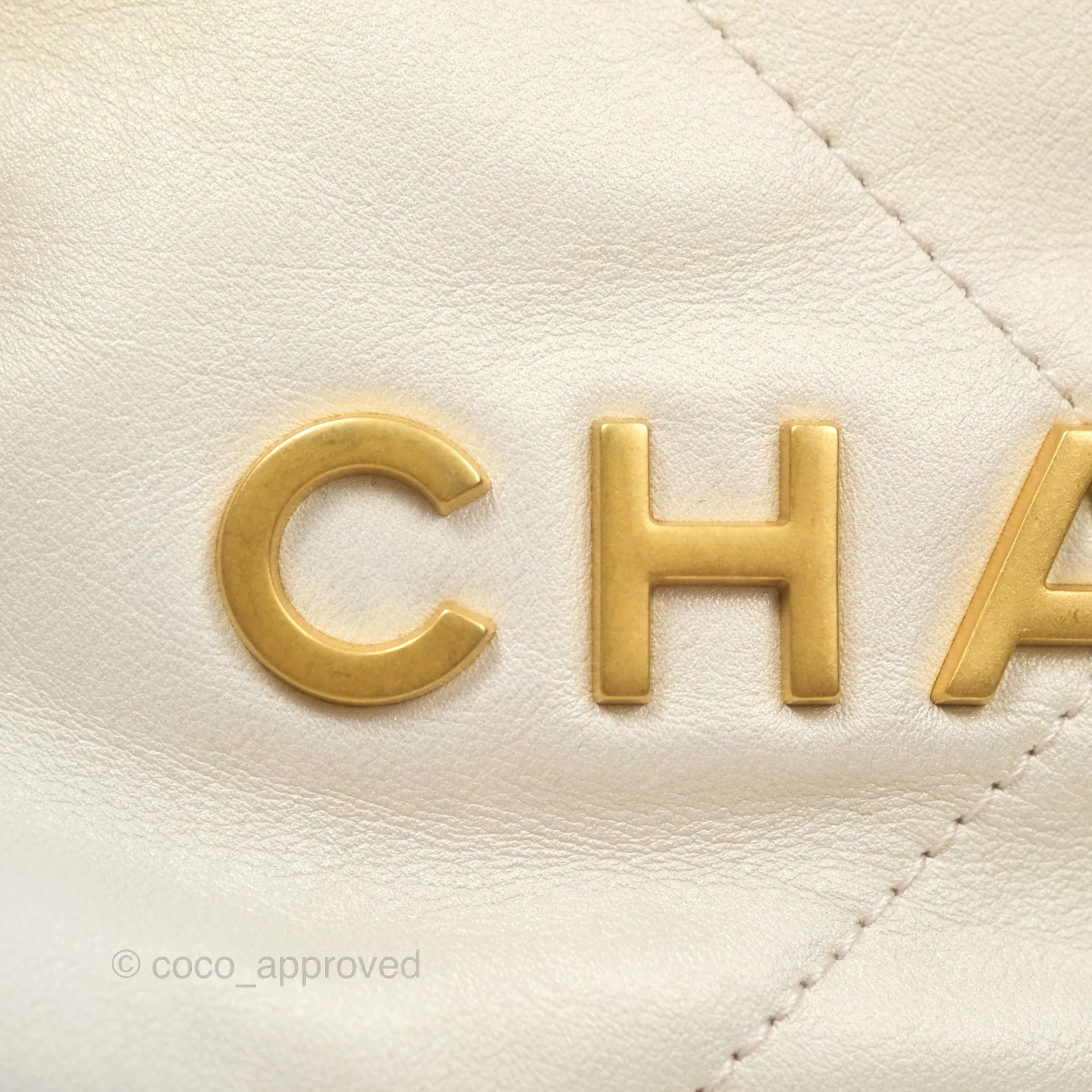 Chanel 22 Mini Bag Iridescent Light Pearly Calfskin Aged Gold Hardware