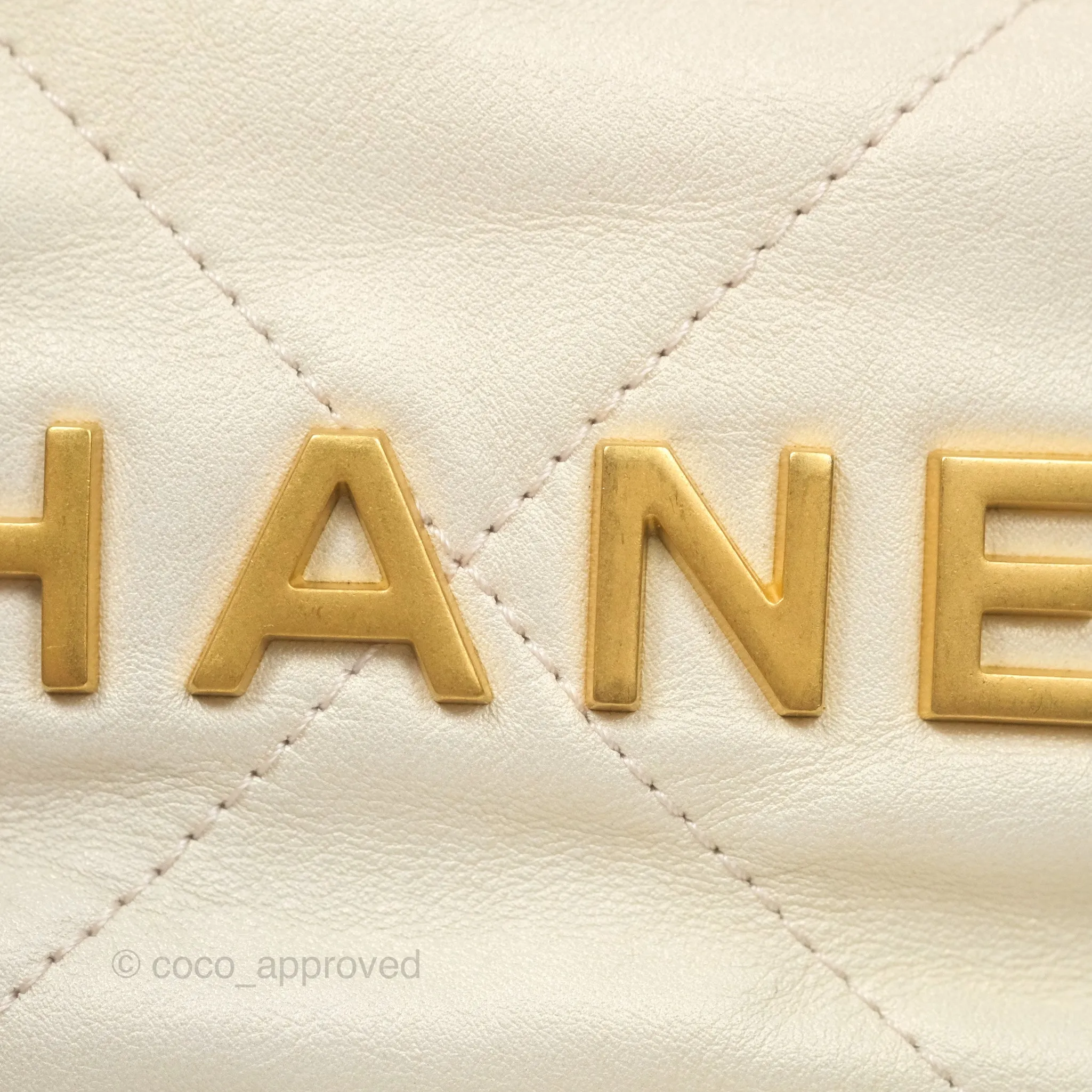 Chanel 22 Mini Bag Iridescent Light Pearly Calfskin Aged Gold Hardware