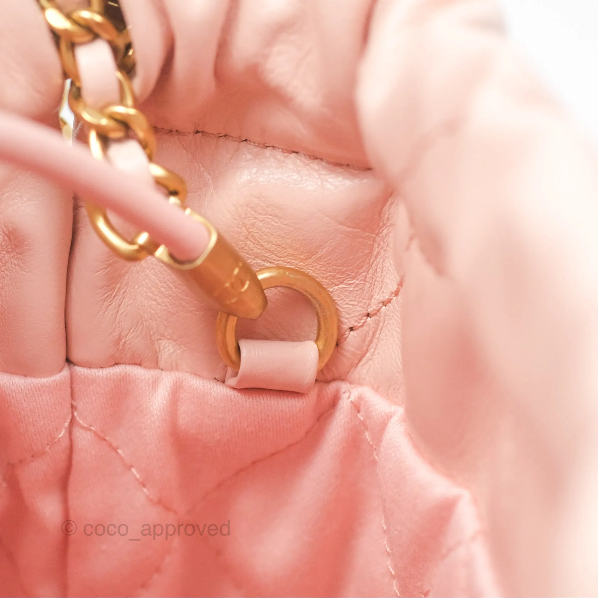 Chanel 22 Mini Bag Pink Shiny Crumpled Calfskin