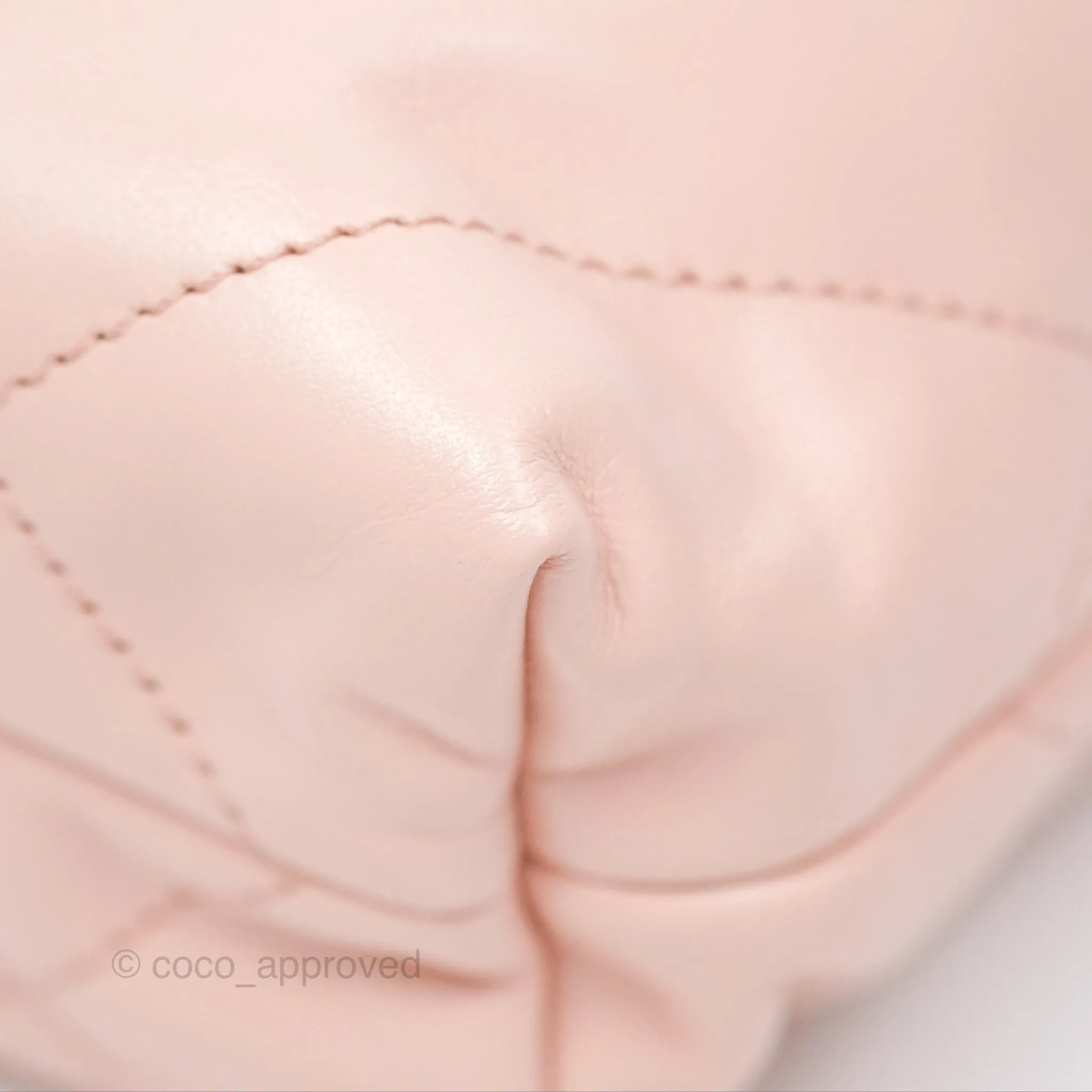Chanel 22 Mini Bag Pink Shiny Crumpled Calfskin