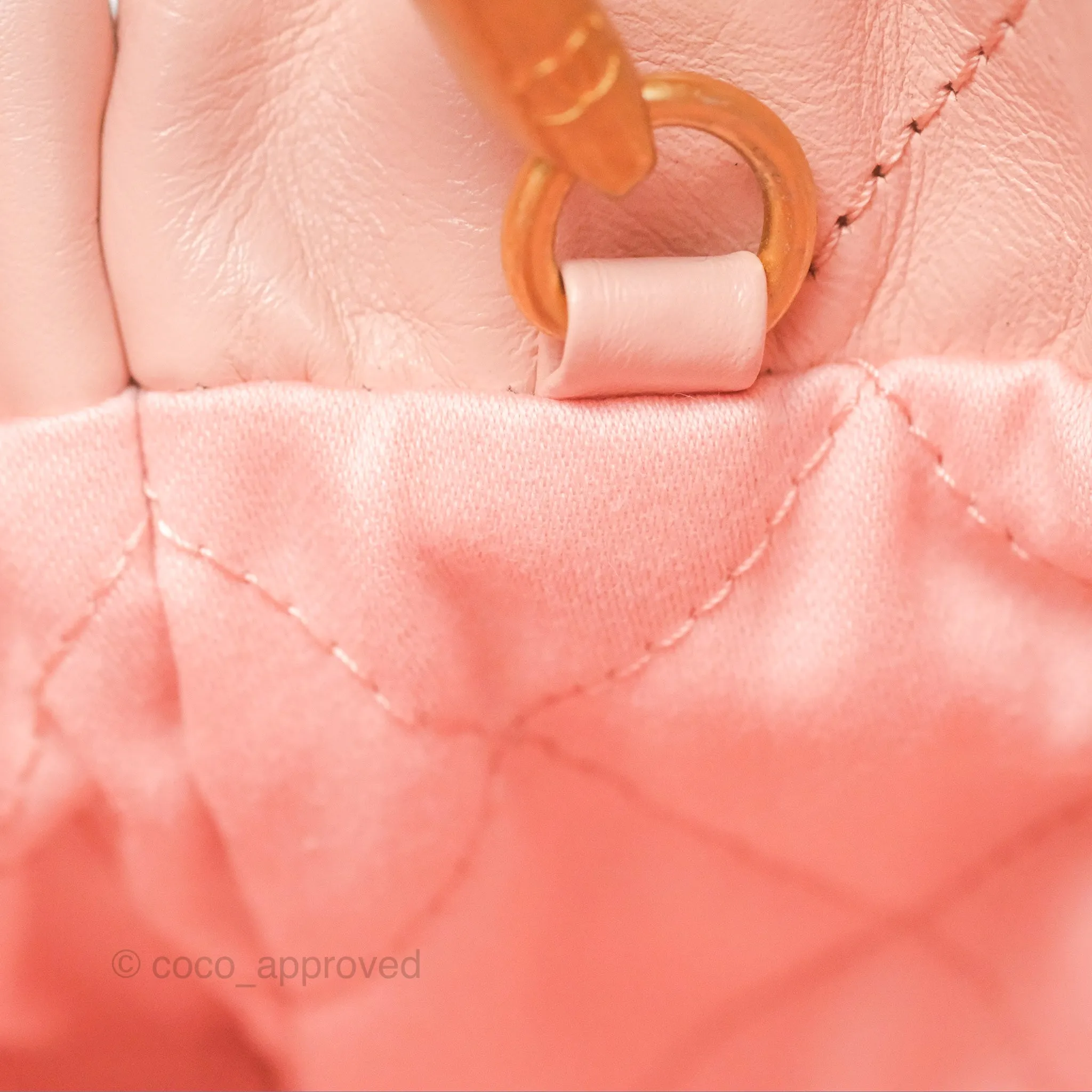 Chanel 22 Mini Bag Pink Shiny Crumpled Calfskin