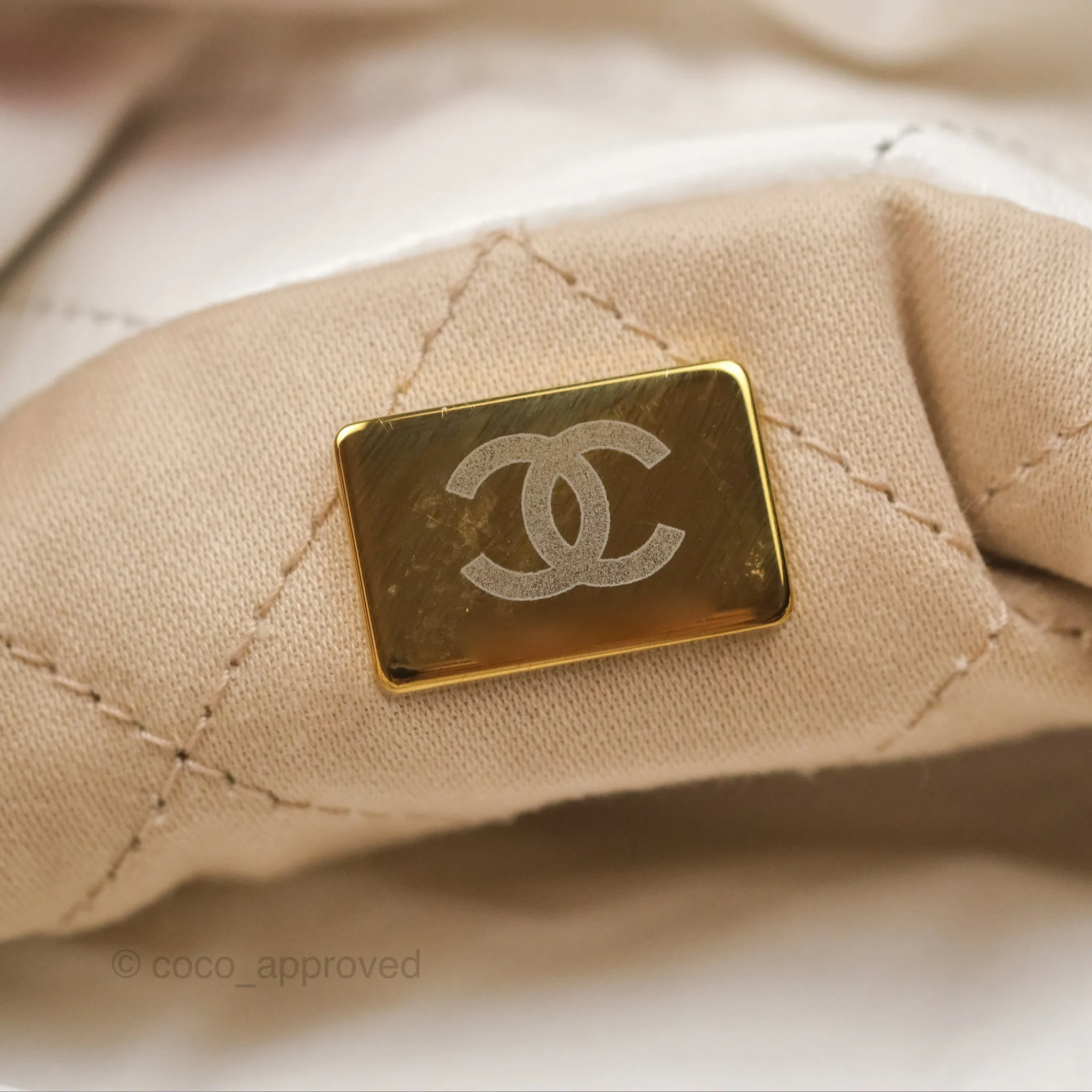 Chanel 22 Mini Bag White Crumpled Calfskin