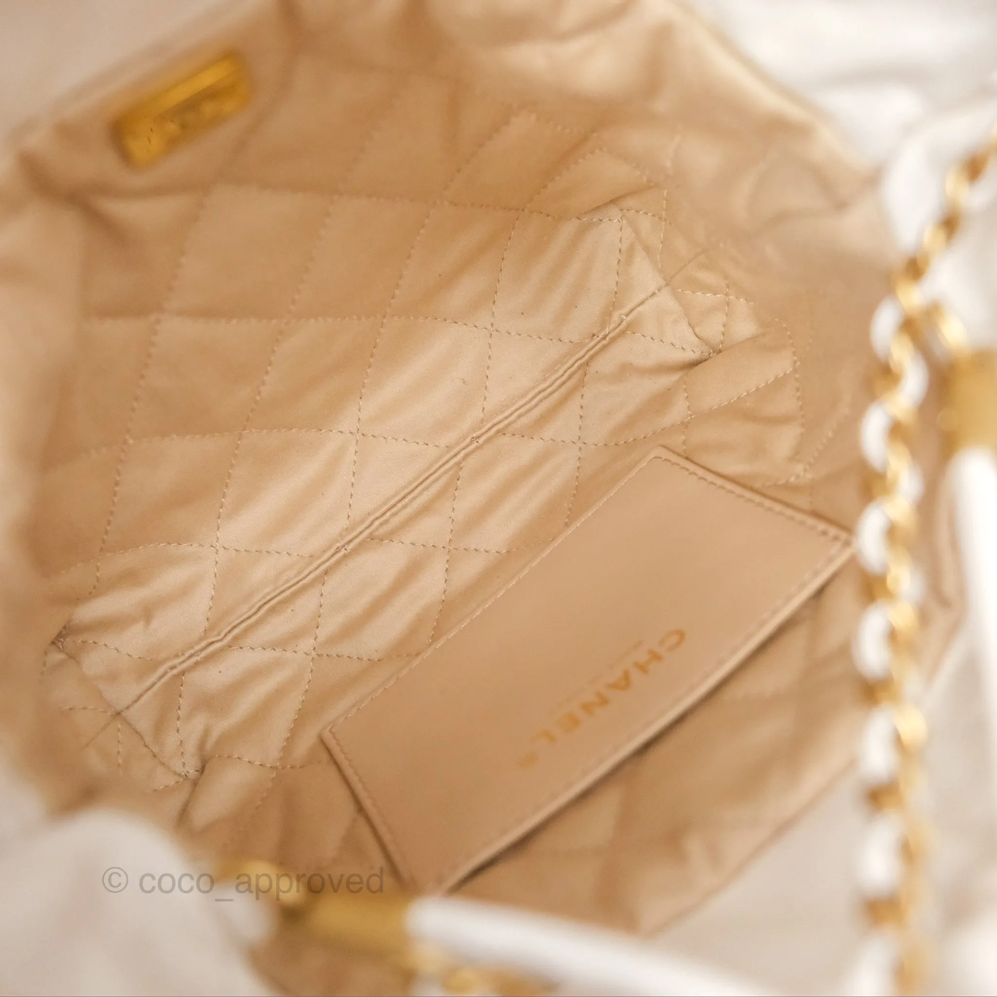 Chanel 22 Mini Bag White Crumpled Calfskin