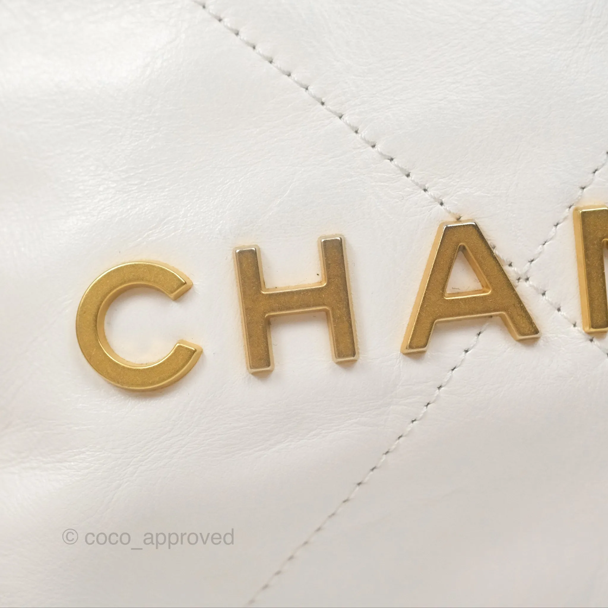 Chanel 22 Mini Bag White Crumpled Calfskin