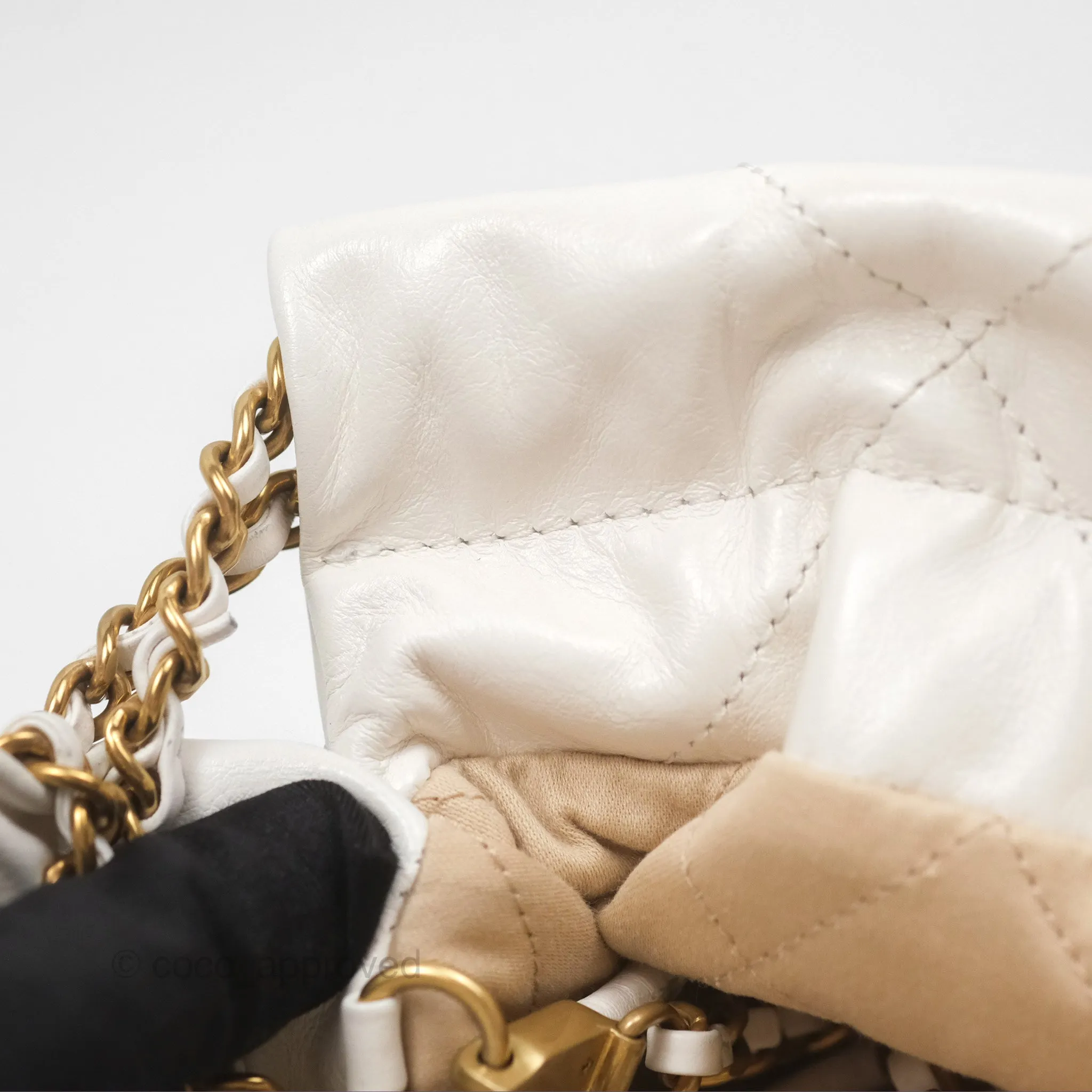 Chanel 22 Mini Bag White Crumpled Calfskin