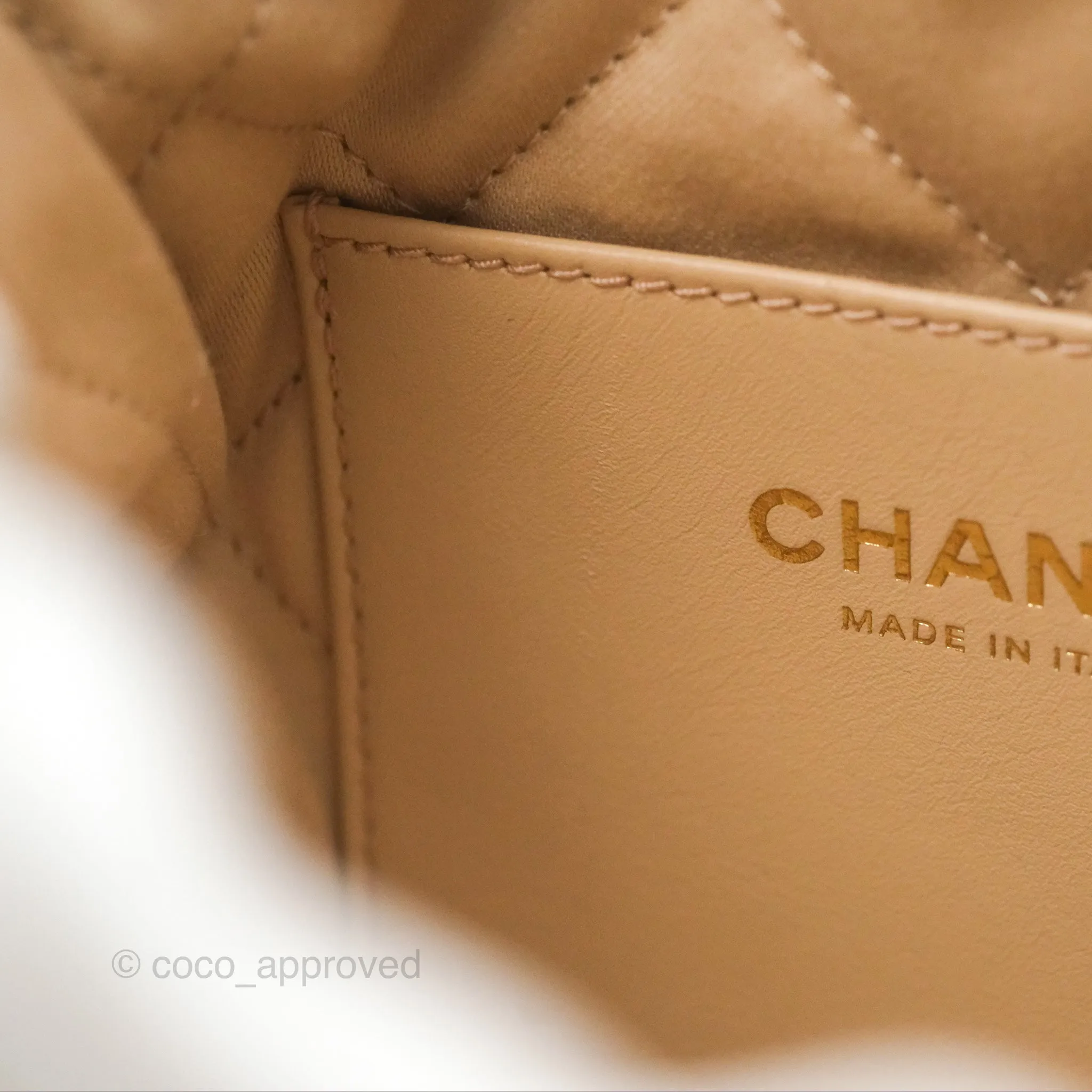 Chanel 22 Mini Bag White Shiny Crumpled Calfskin
