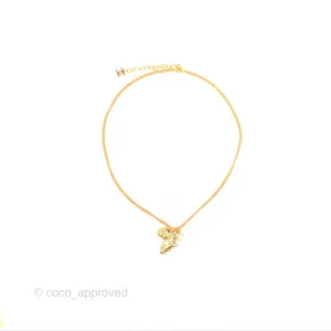 Chanel Africa Map Crystal CC Necklace Gold Tone 23A