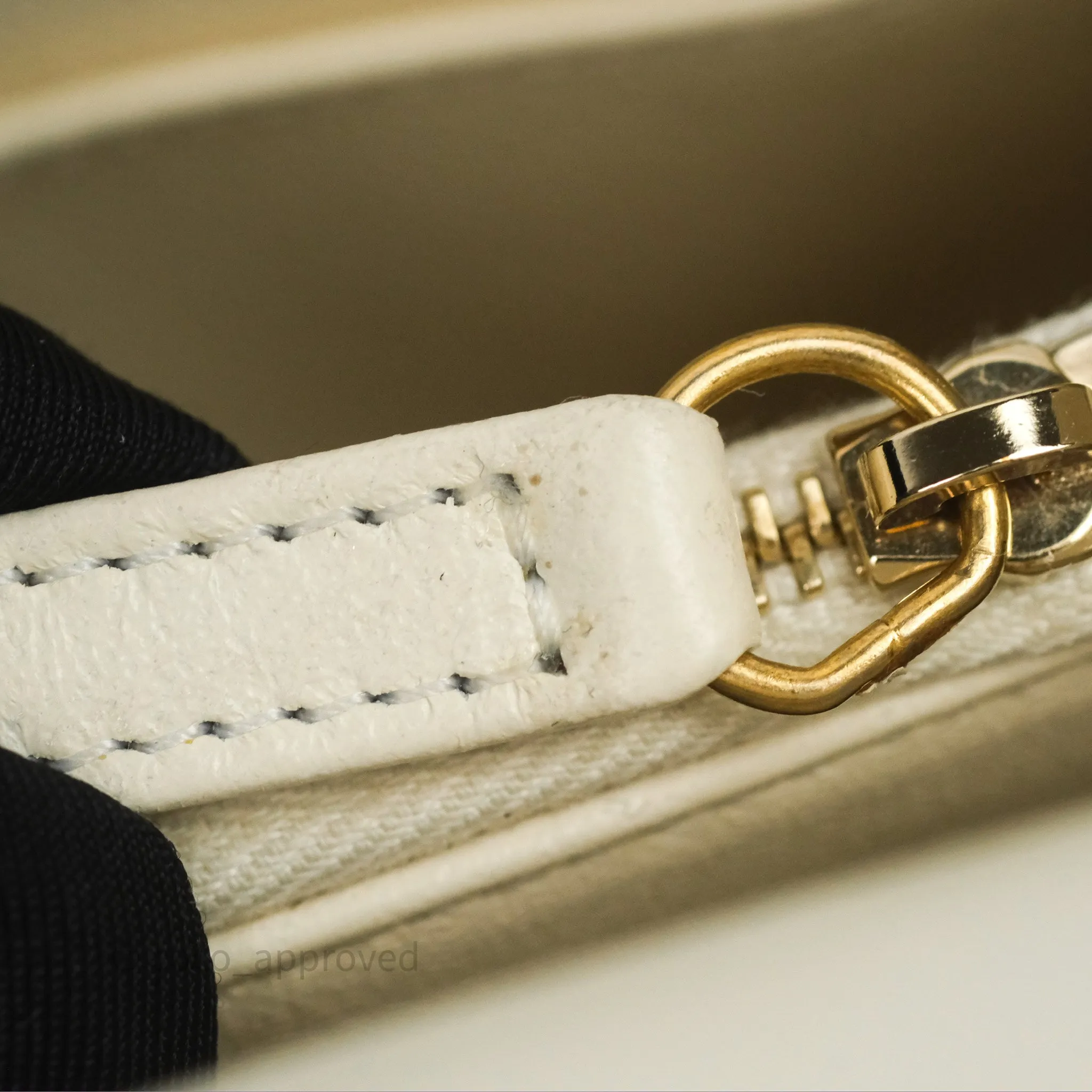 Chanel Medium Coco Handle Chevron Aged Calfskin Ivory Aged Gold Hardware Beige Lizard Handle