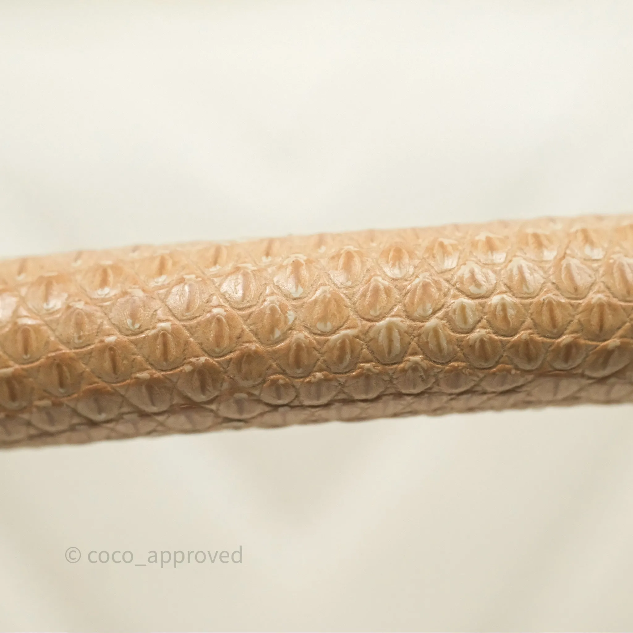 Chanel Medium Coco Handle Chevron Aged Calfskin Ivory Aged Gold Hardware Beige Lizard Handle