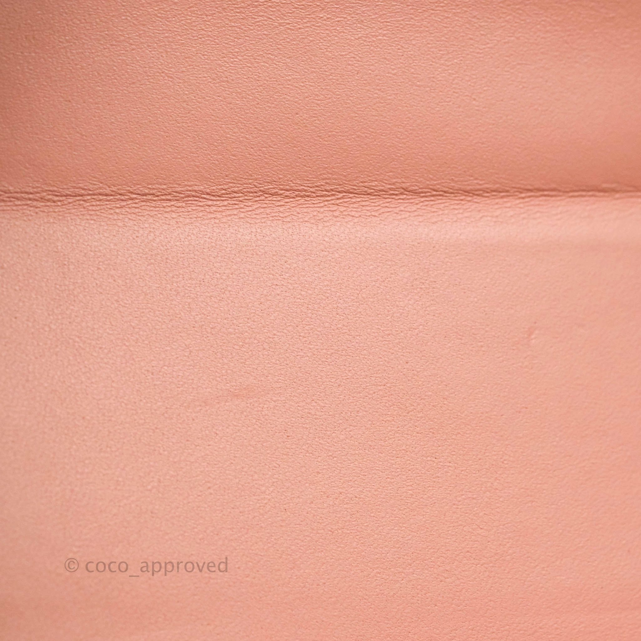 Christian Dior 30 Montaigne Box Bag Python Rose Des Vents