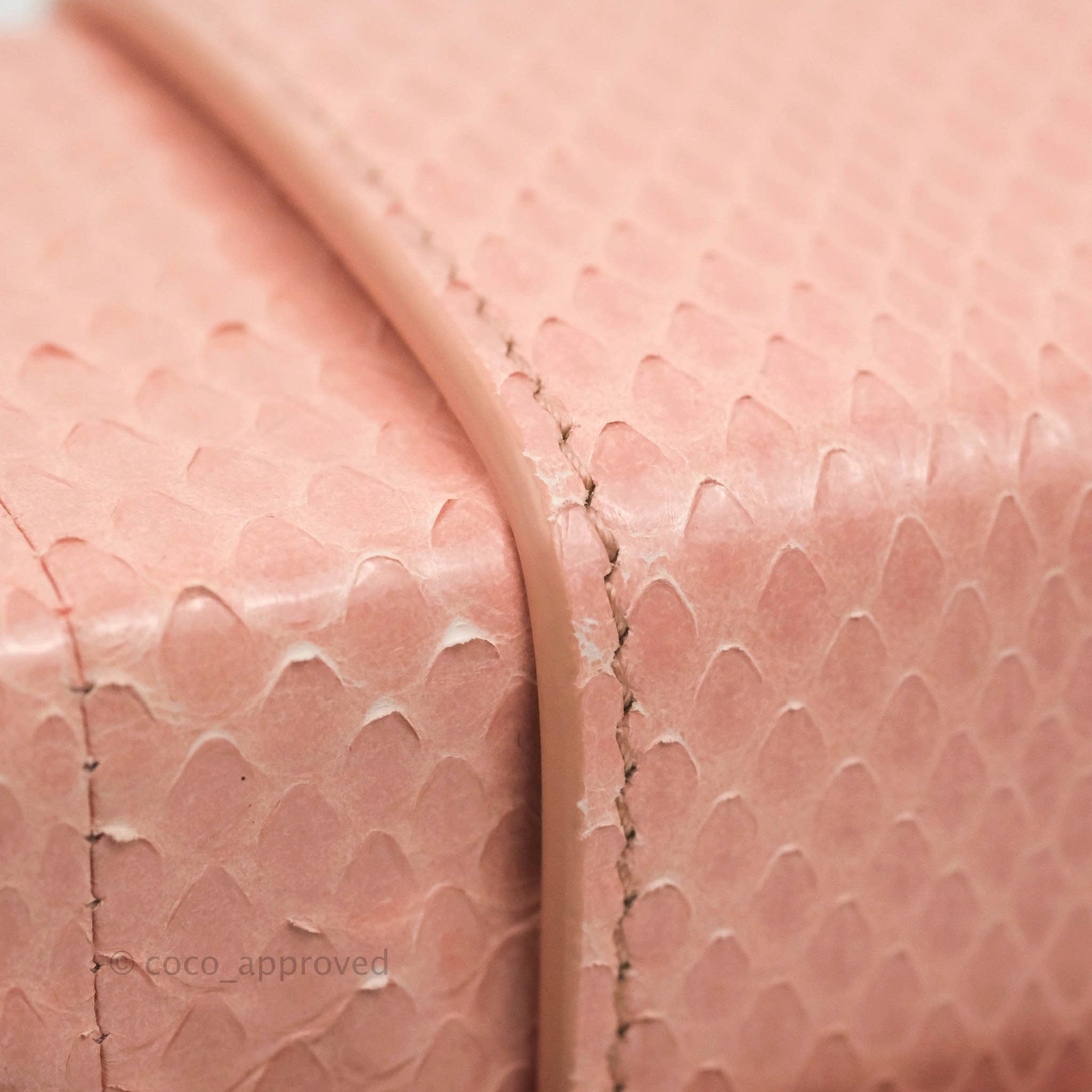 Christian Dior 30 Montaigne Box Bag Python Rose Des Vents
