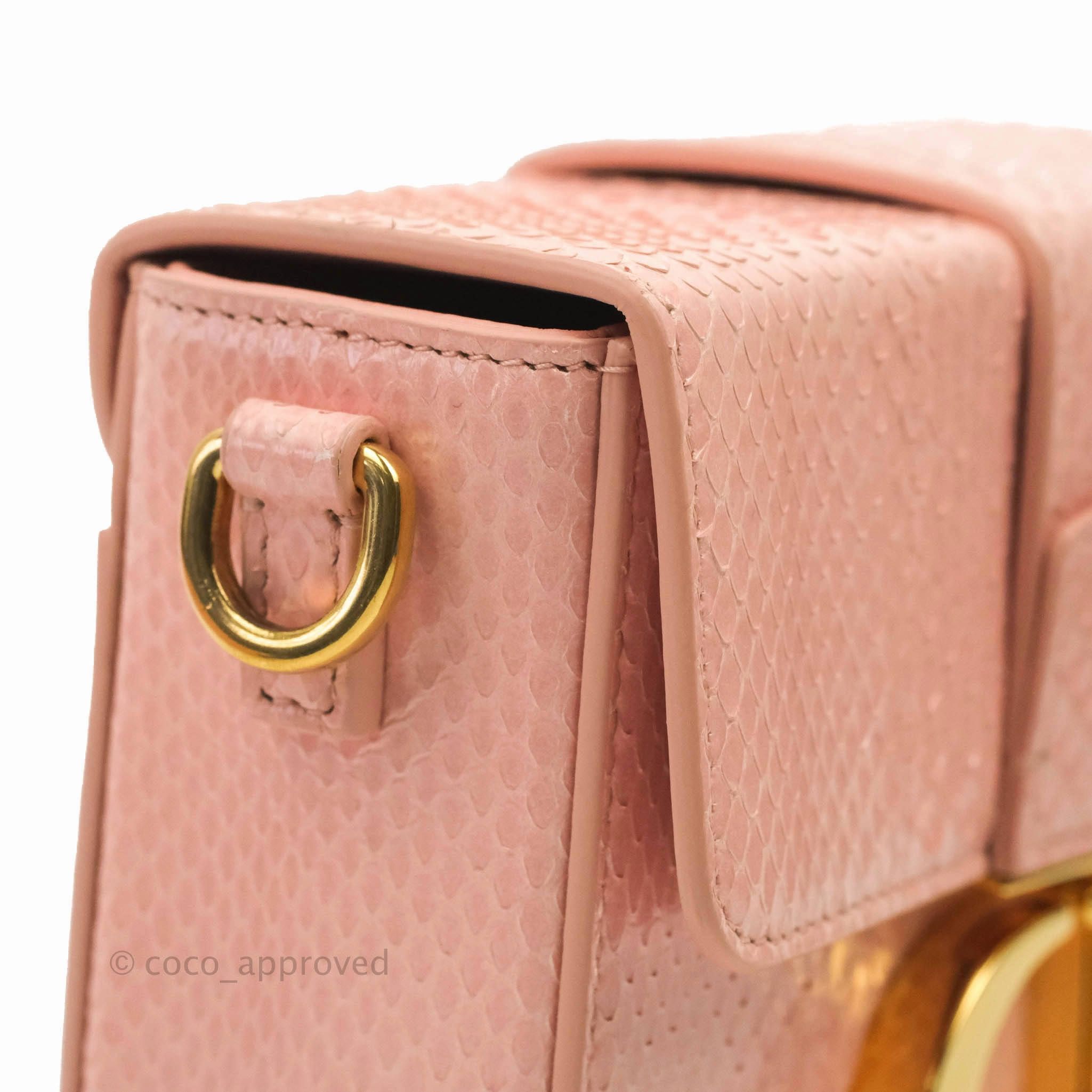 Christian Dior 30 Montaigne Box Bag Python Rose Des Vents