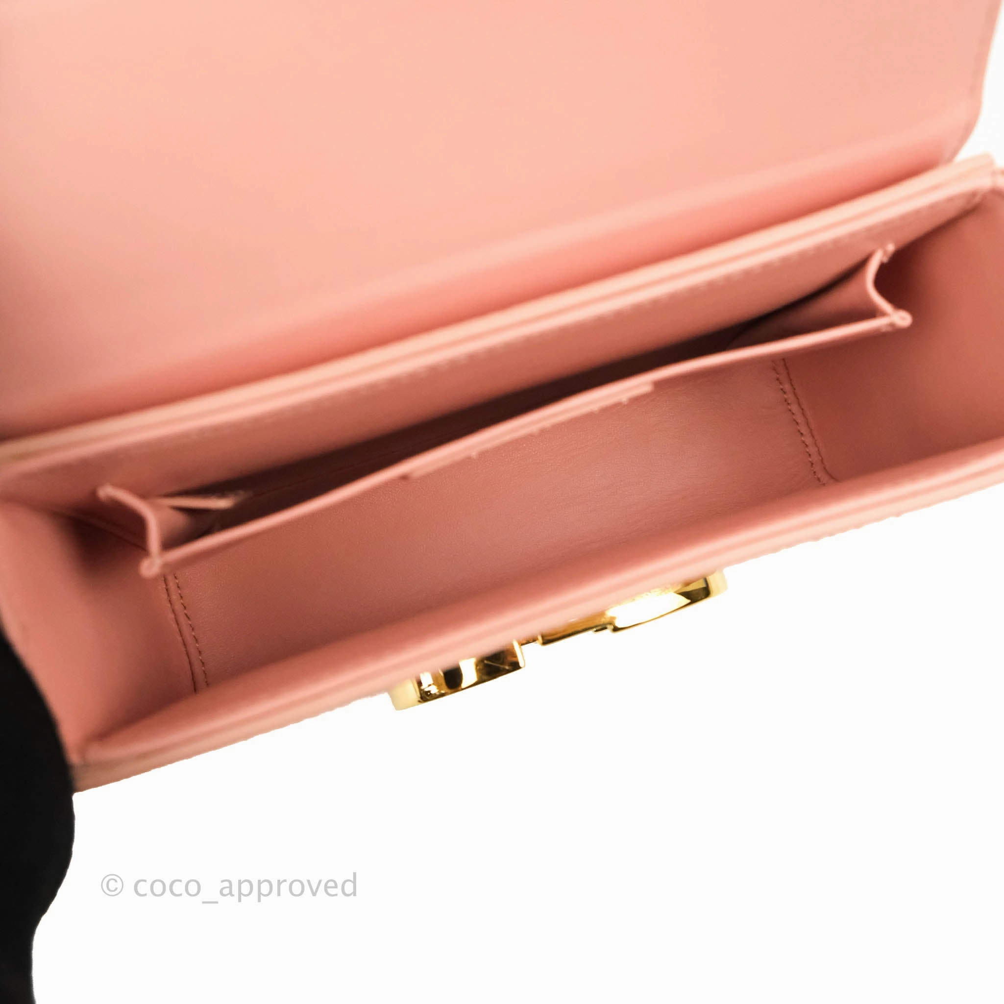 Christian Dior 30 Montaigne Box Bag Python Rose Des Vents