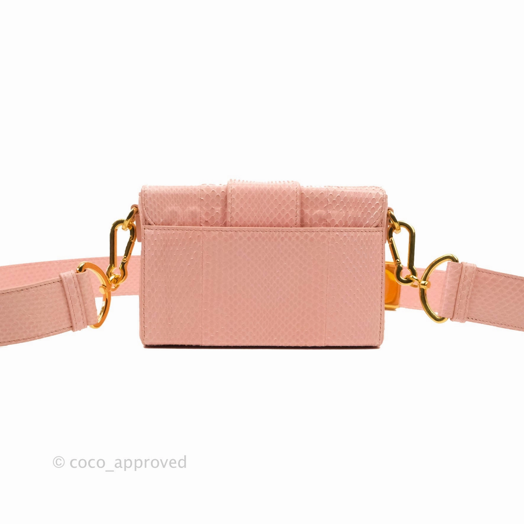 Christian Dior 30 Montaigne Box Bag Python Rose Des Vents