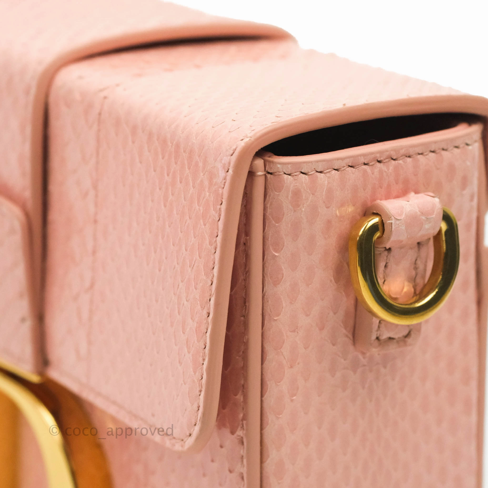 Christian Dior 30 Montaigne Box Bag Python Rose Des Vents