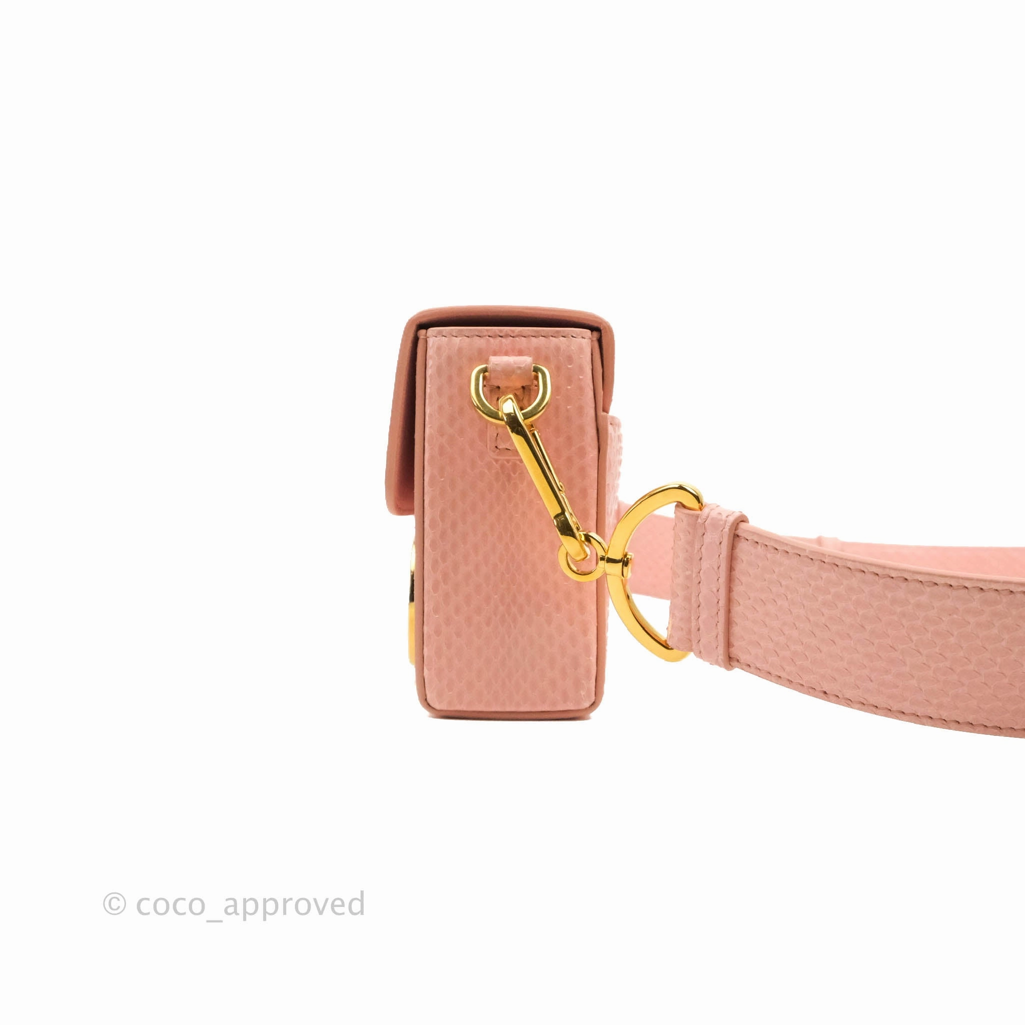 Christian Dior 30 Montaigne Box Bag Python Rose Des Vents