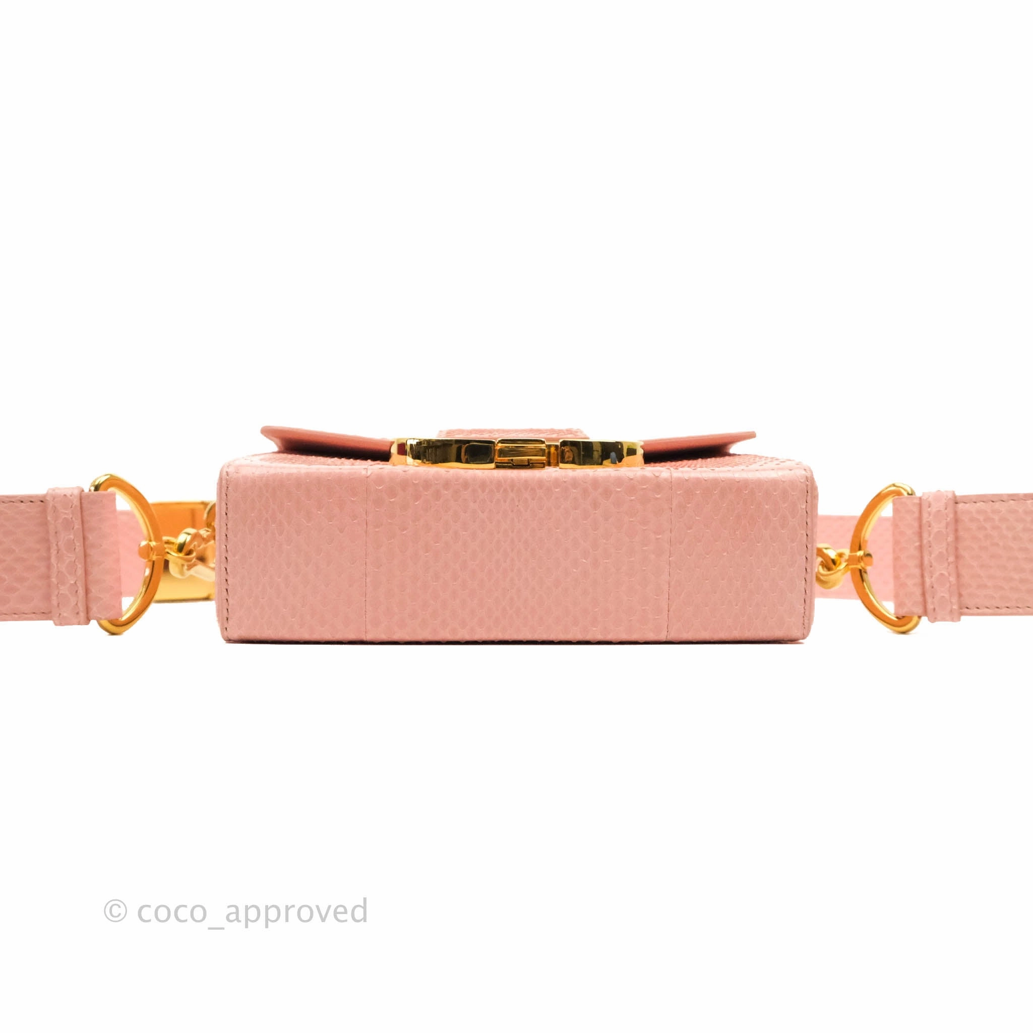 Christian Dior 30 Montaigne Box Bag Python Rose Des Vents