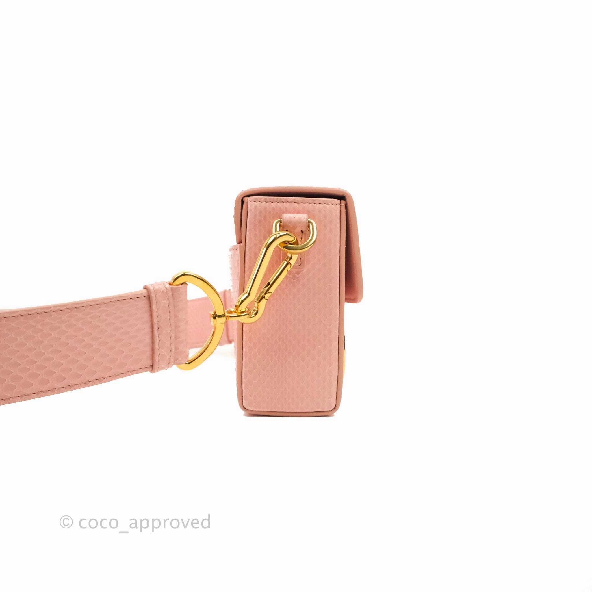 Christian Dior 30 Montaigne Box Bag Python Rose Des Vents