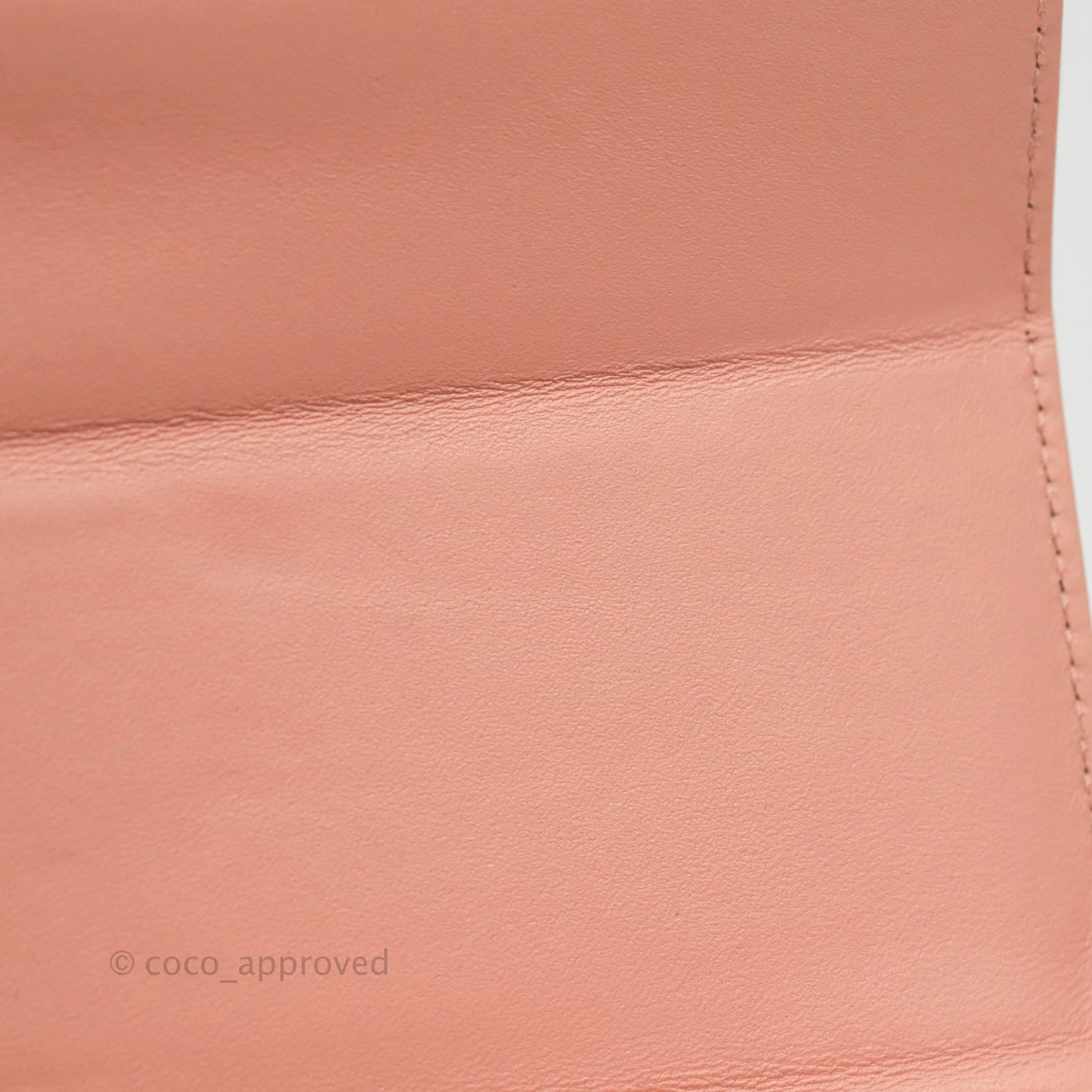 Christian Dior 30 Montaigne Box Bag Python Rose Des Vents