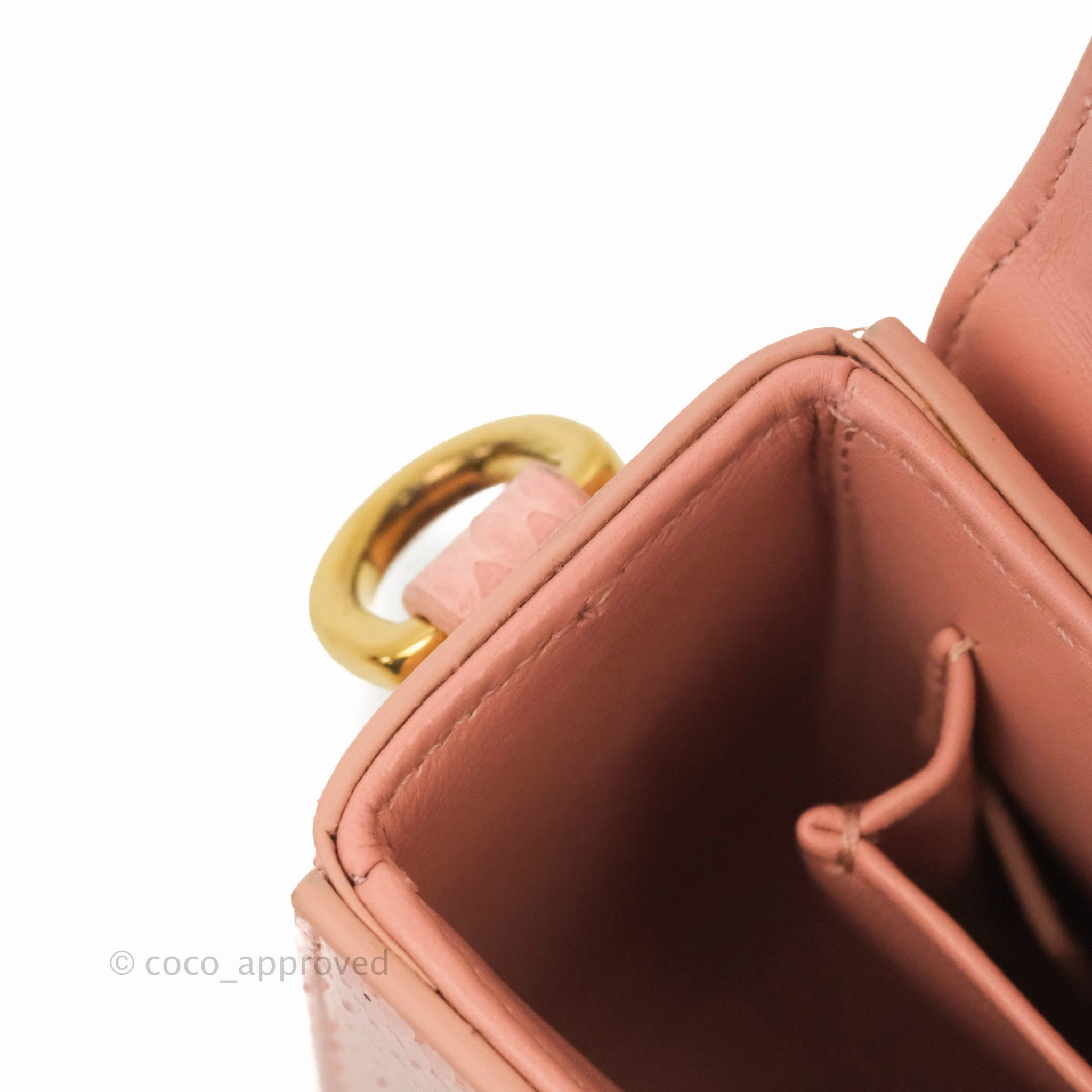 Christian Dior 30 Montaigne Box Bag Python Rose Des Vents
