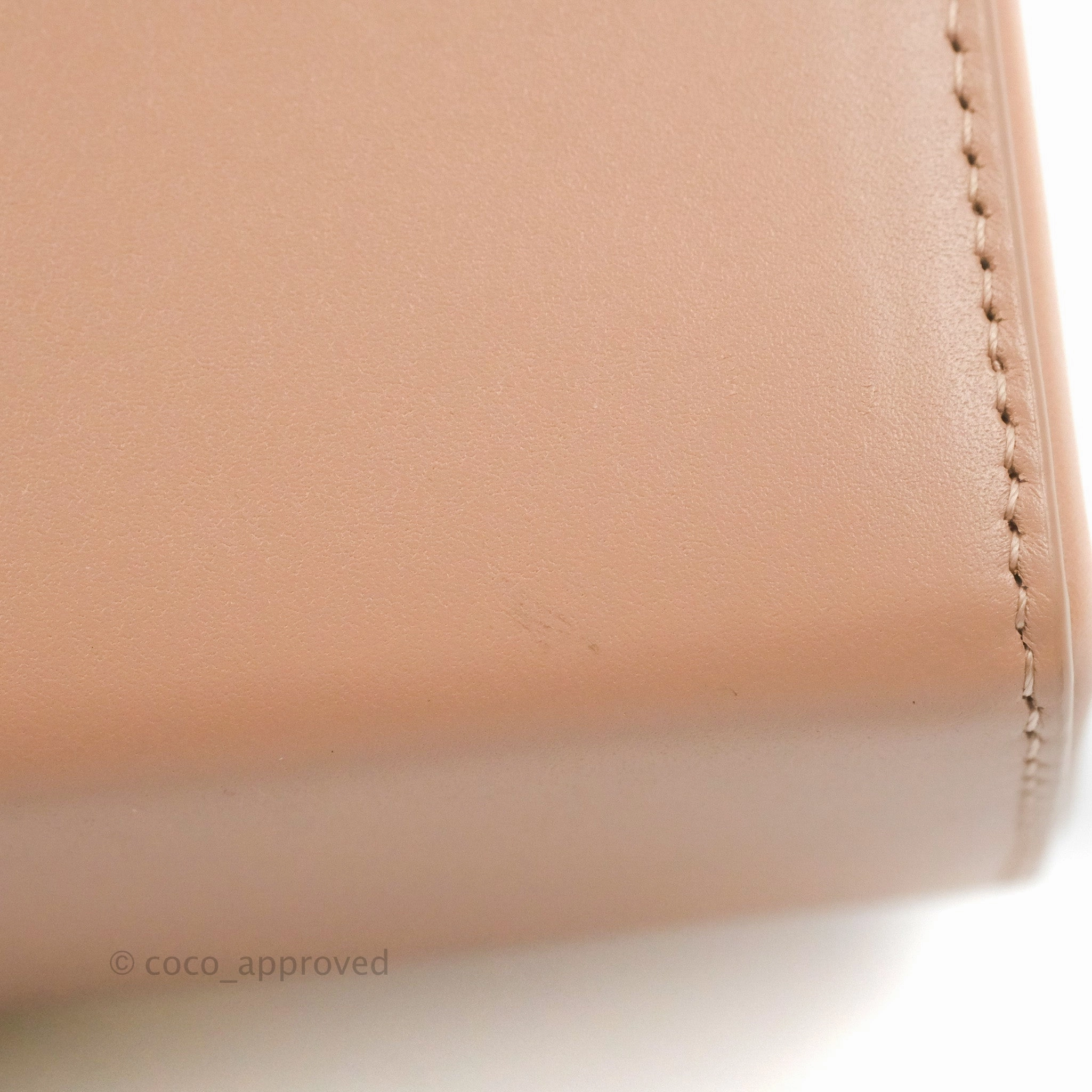 Christian Dior 30 Montaigne Box Bag Rose Des Vents Calfskin