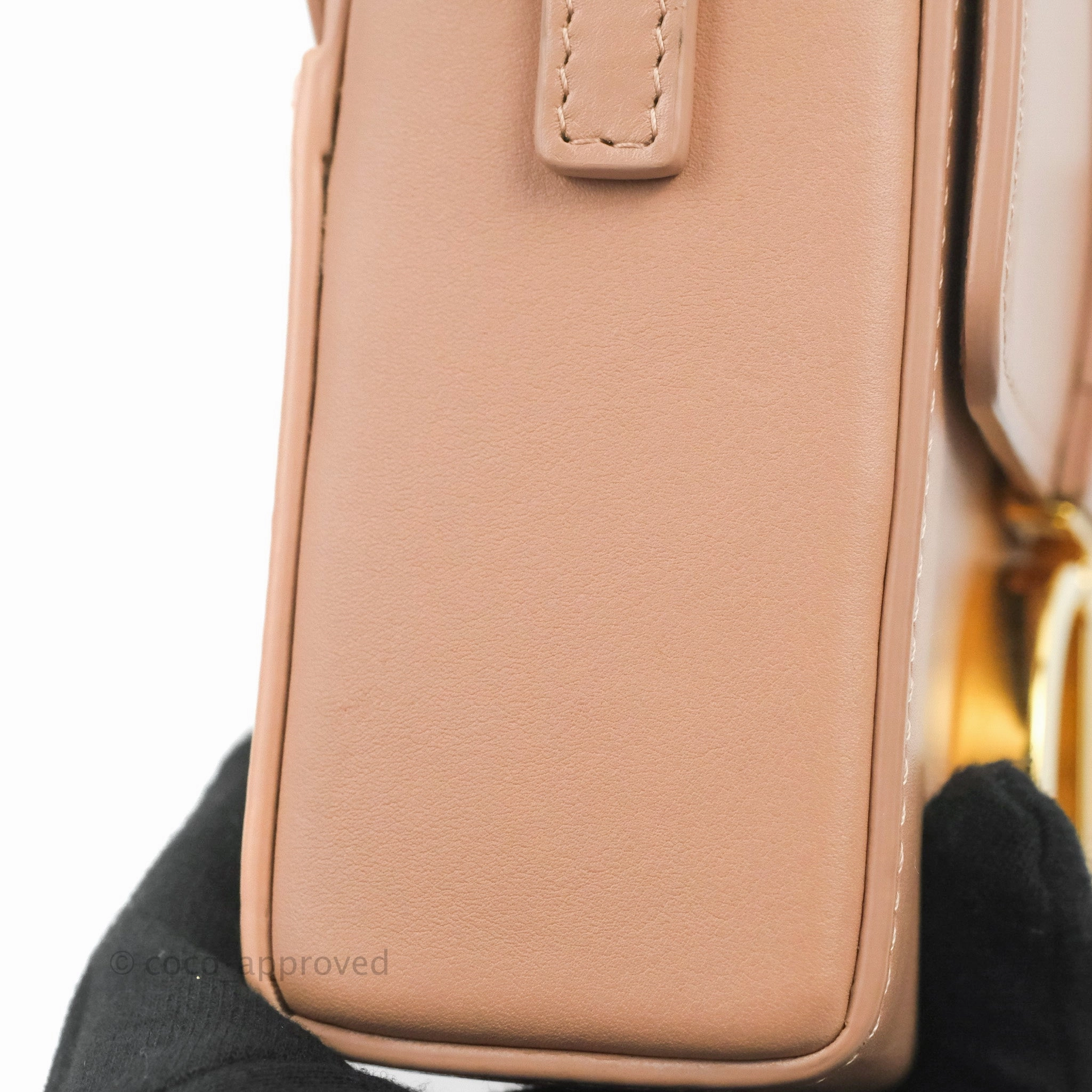 Christian Dior 30 Montaigne Box Bag Rose Des Vents Calfskin