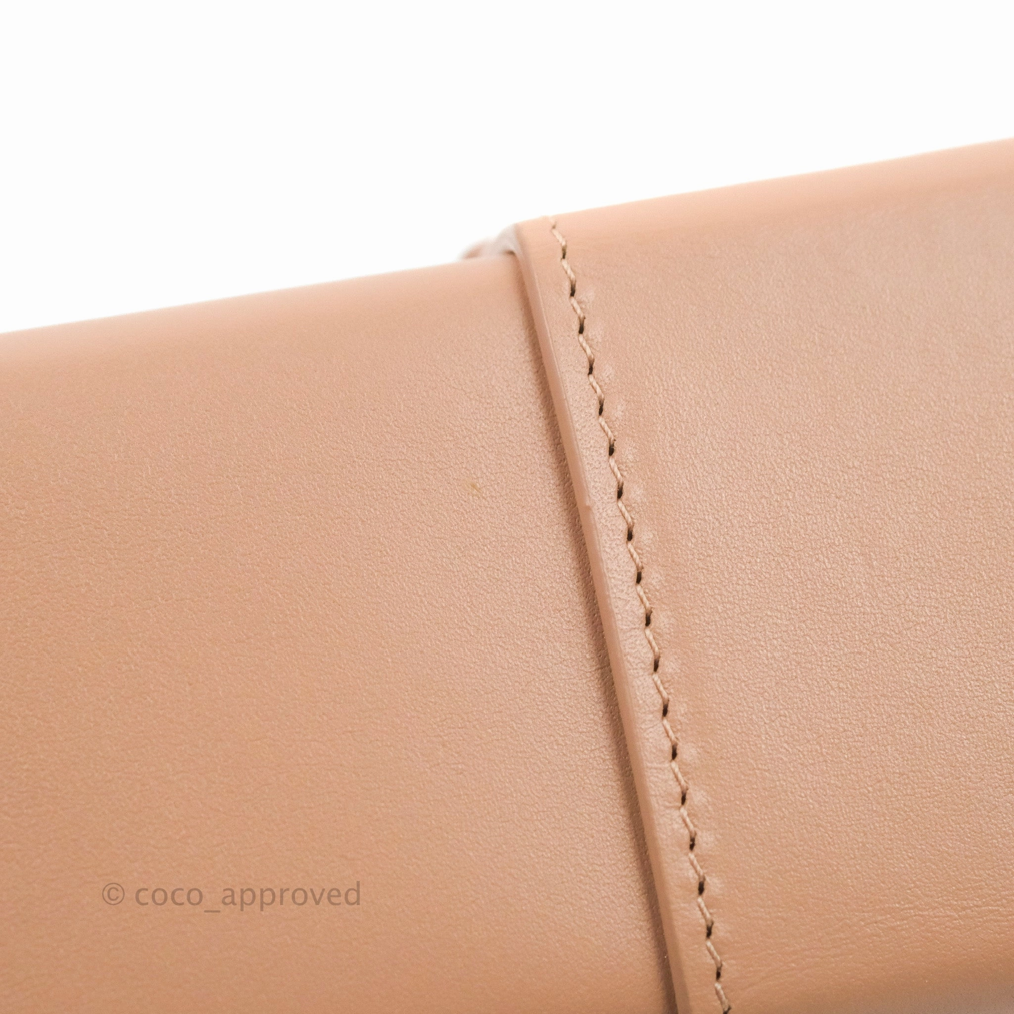 Christian Dior 30 Montaigne Box Bag Rose Des Vents Calfskin