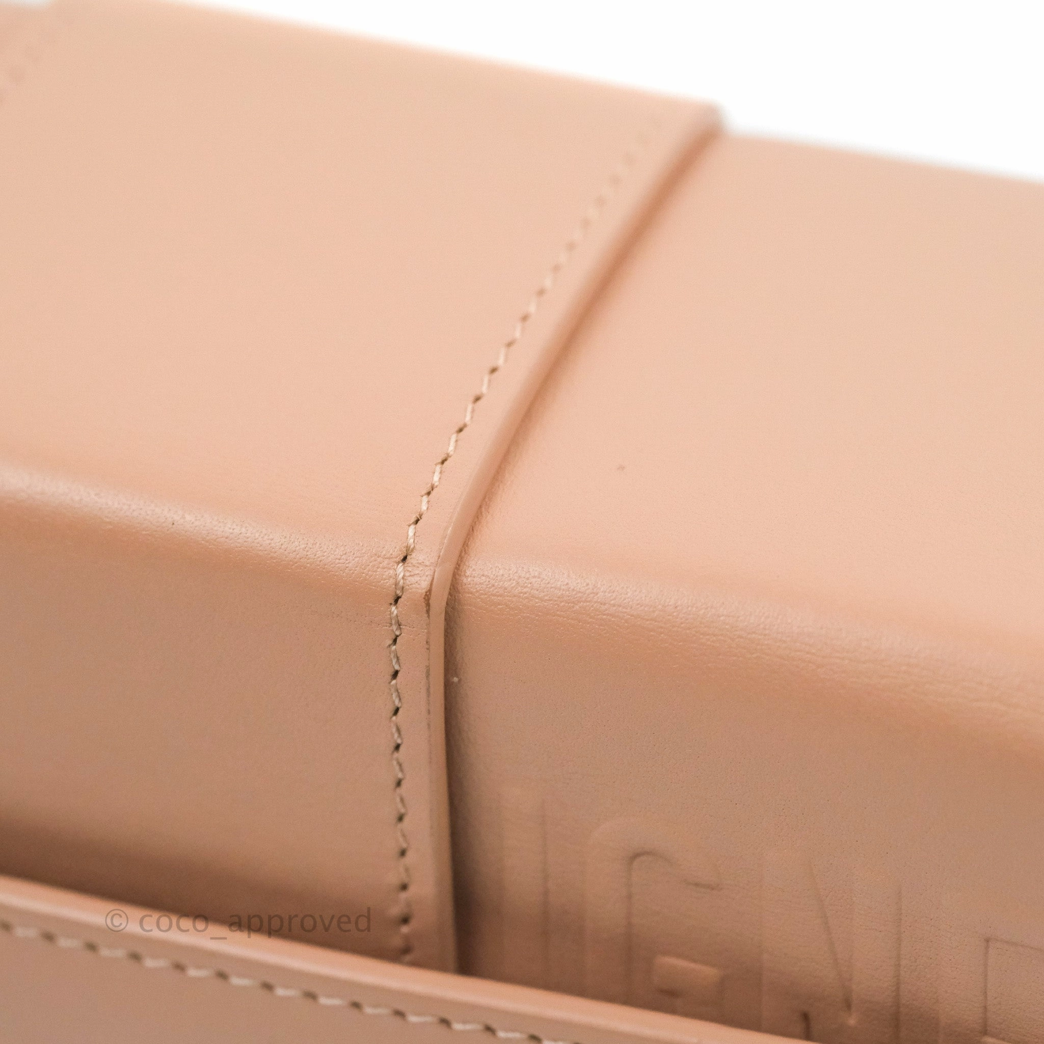 Christian Dior 30 Montaigne Box Bag Rose Des Vents Calfskin